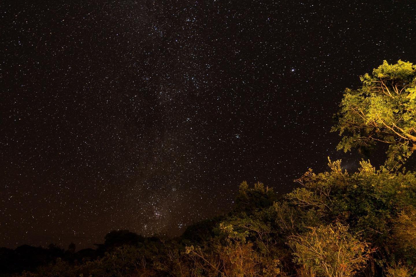 Thousands of stars, zero light pollution — the rainforest at its most humbling. The Milky Way arching over a dense forest canopy lit by warm artificial light on an Amazon trek and survival tour