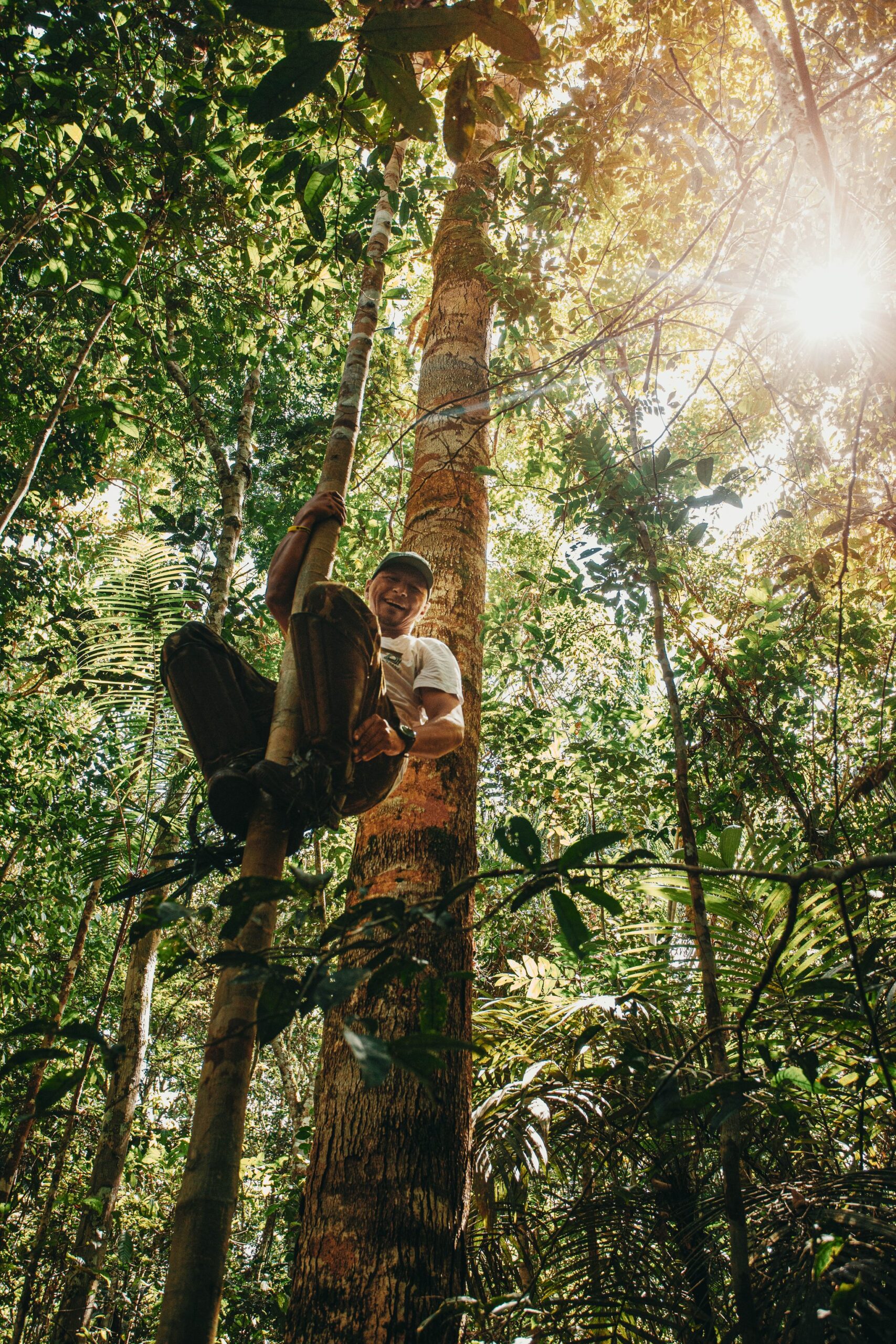 Barefoot, grinning, unstoppable — a local guide scales the canopy like it's second nature. A smiling local guide climbs barefoot up a tall rainforest tree at Anavilhanas Jungle Lodge Brazil, sunlight streaming through the dense green canopy above