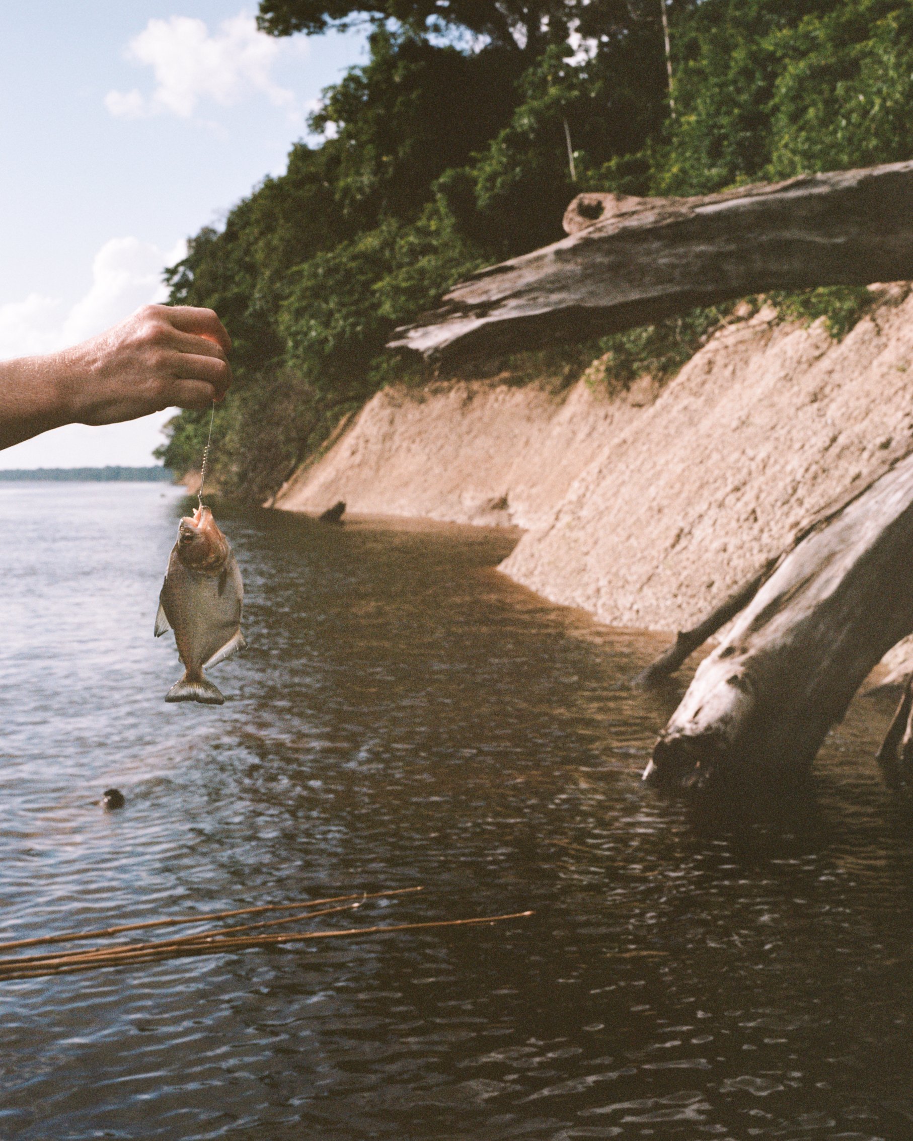 A hand holds a small freshly caught fish on a line above the dark waters of the Rio Negro, with an eroded sandy riverbank and dense rainforest canopy visible at Anavilhanas Jungle Lodge Brazil