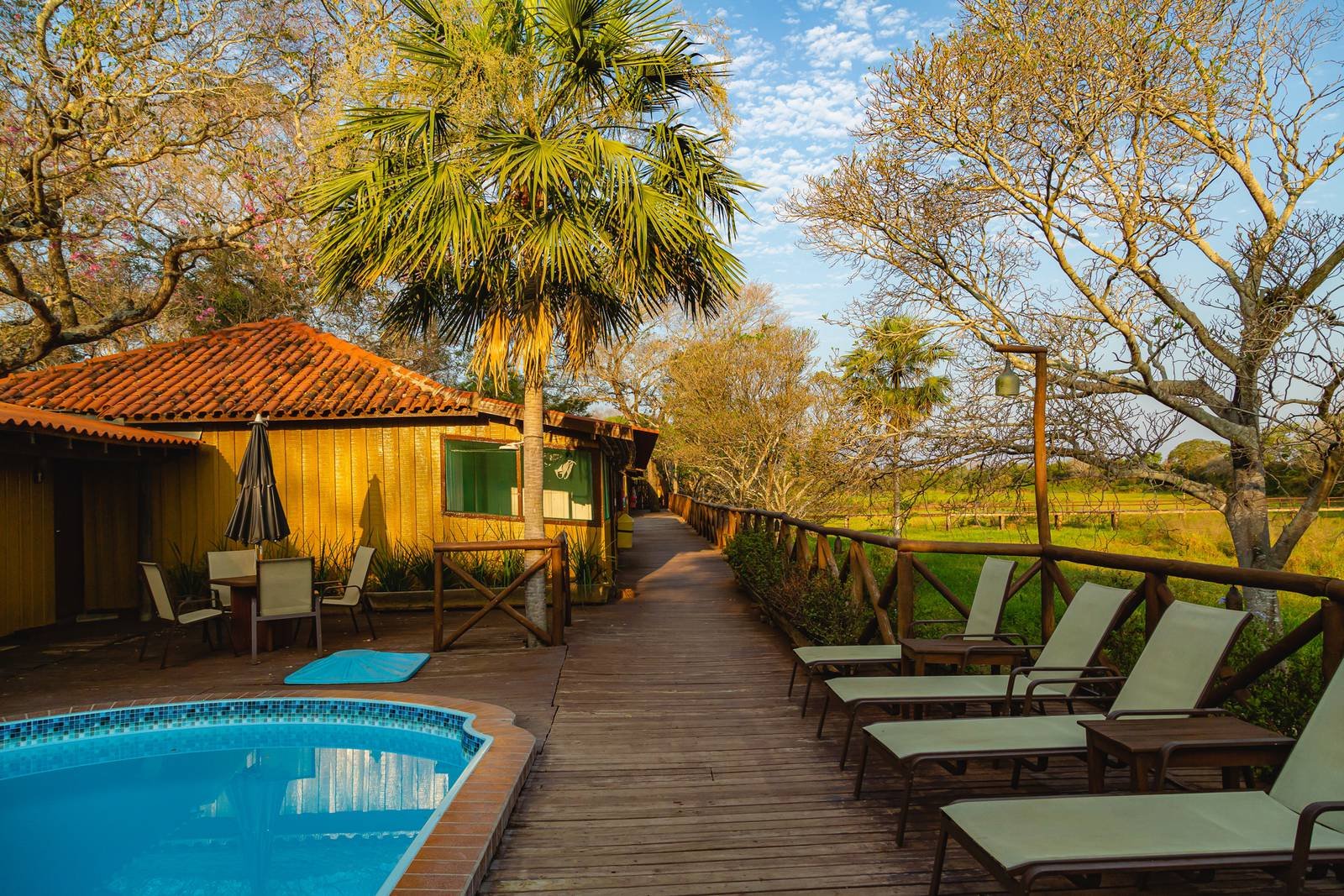 A wooden deck with sun loungers and a blue outdoor pool beside a rustic timber lodge with a terracotta roof, surrounded by palm trees and open wetland grassland on this budget Pantanal tour