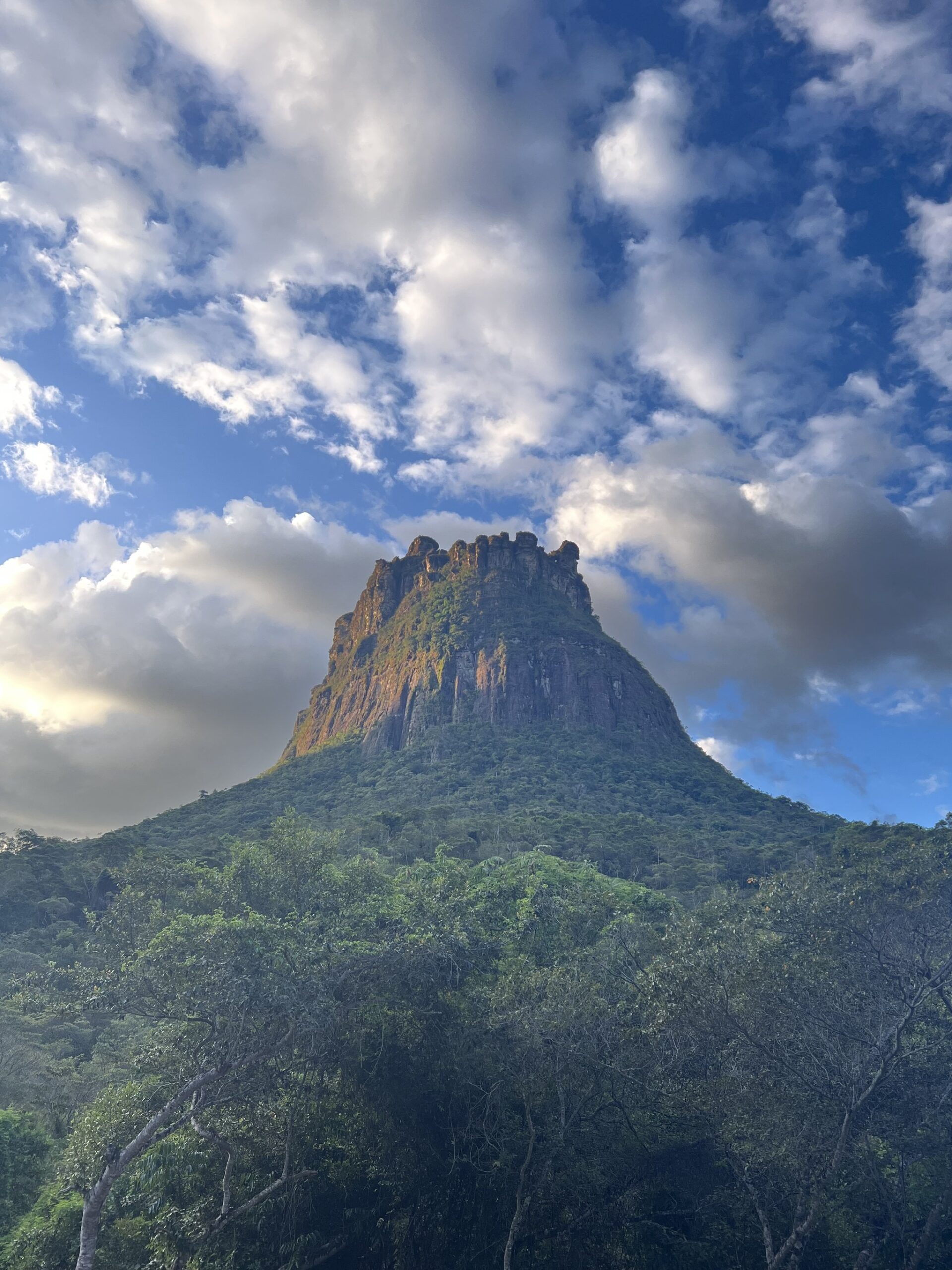 A steep rocky inselberg covered in green vegetation rises dramatically above the forest canopy on a Chapada Diamantina trek, under a vivid blue sky with billowing clouds
