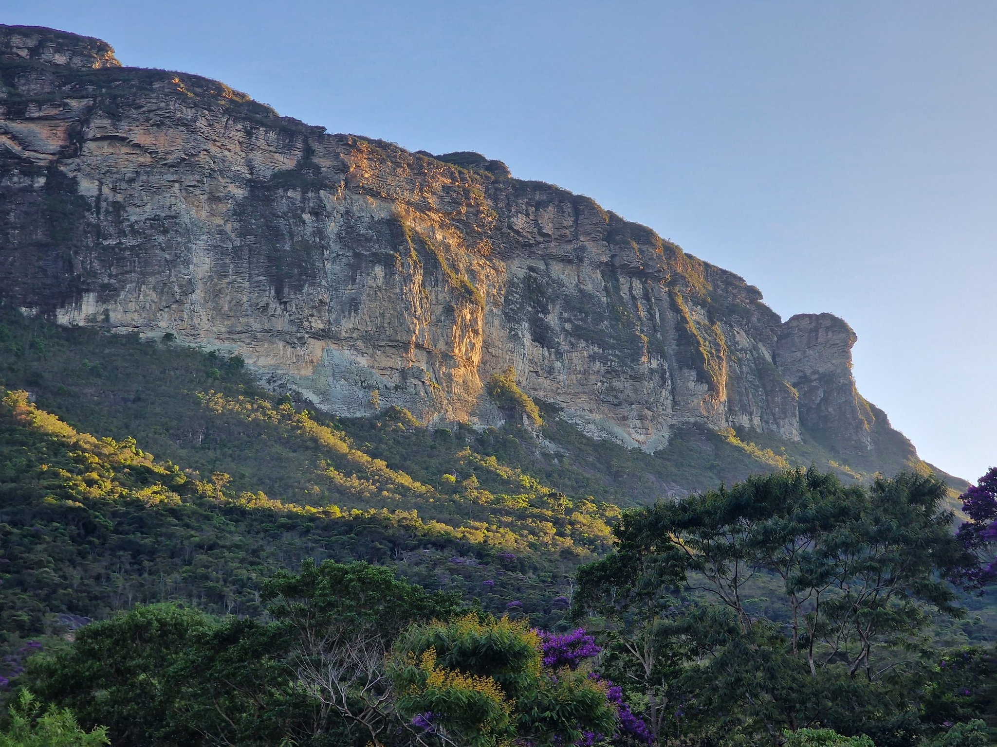 Towering sandstone escarpment bathed in warm golden light on a Chapada Diamantina trek, with lush green slopes and purple-flowering trees in the foreground