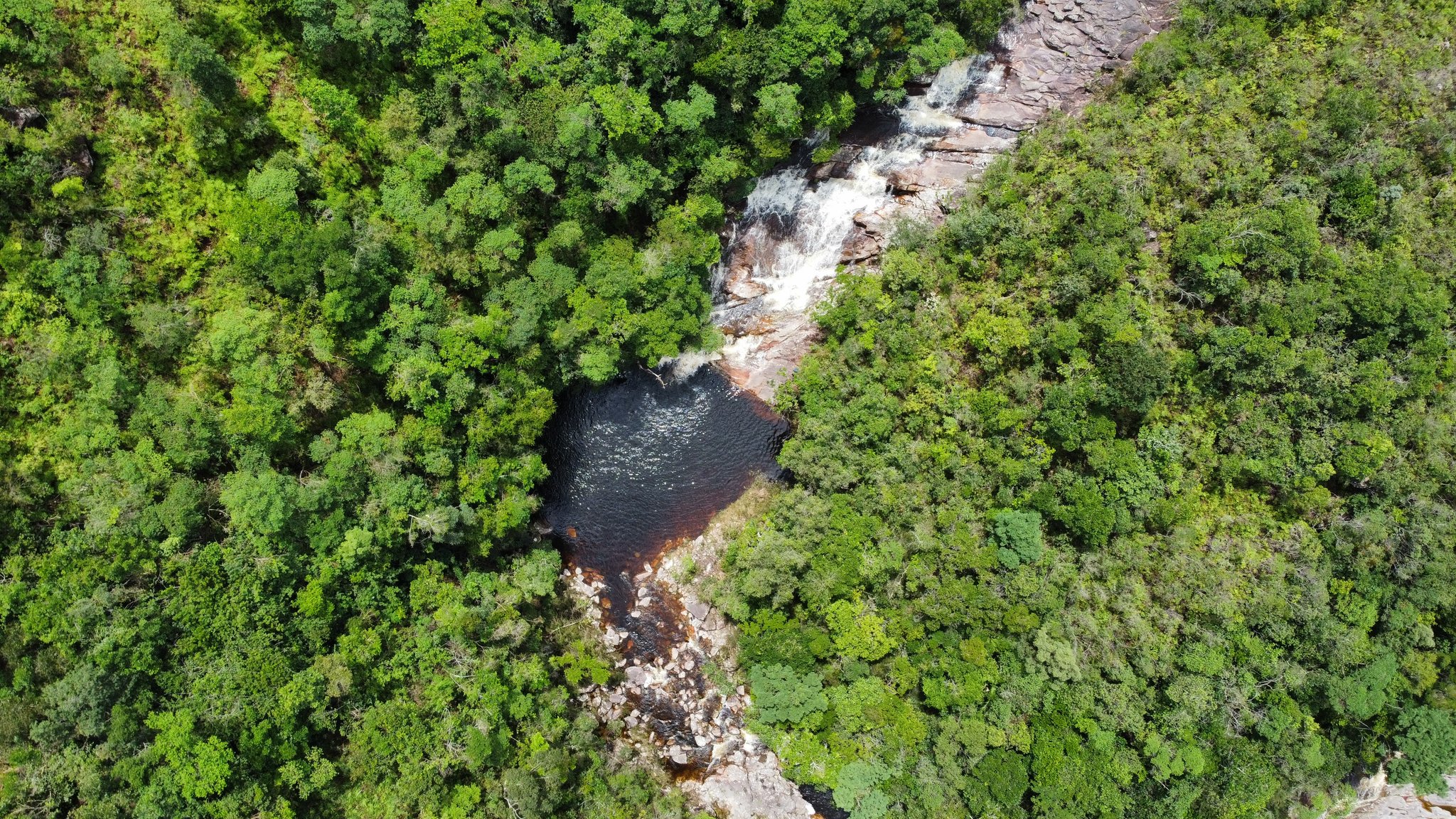 Hidden in the canopy: a tannin-dark plunge pool fed by white cascades over bare rock. Aerial view of a cascading waterfall dropping into a dark tannin-stained natural pool enclosed by dense green forest on a rocky outcrop during a Chapada Diamantina trek