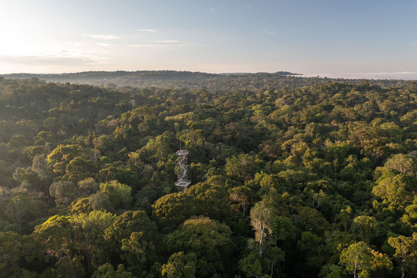 Aerial view of a tall metal observation tower rising above the unbroken rainforest canopy at Cristalino Jungle Lodge, with misty forested hills stretching to the horizon at golden hour