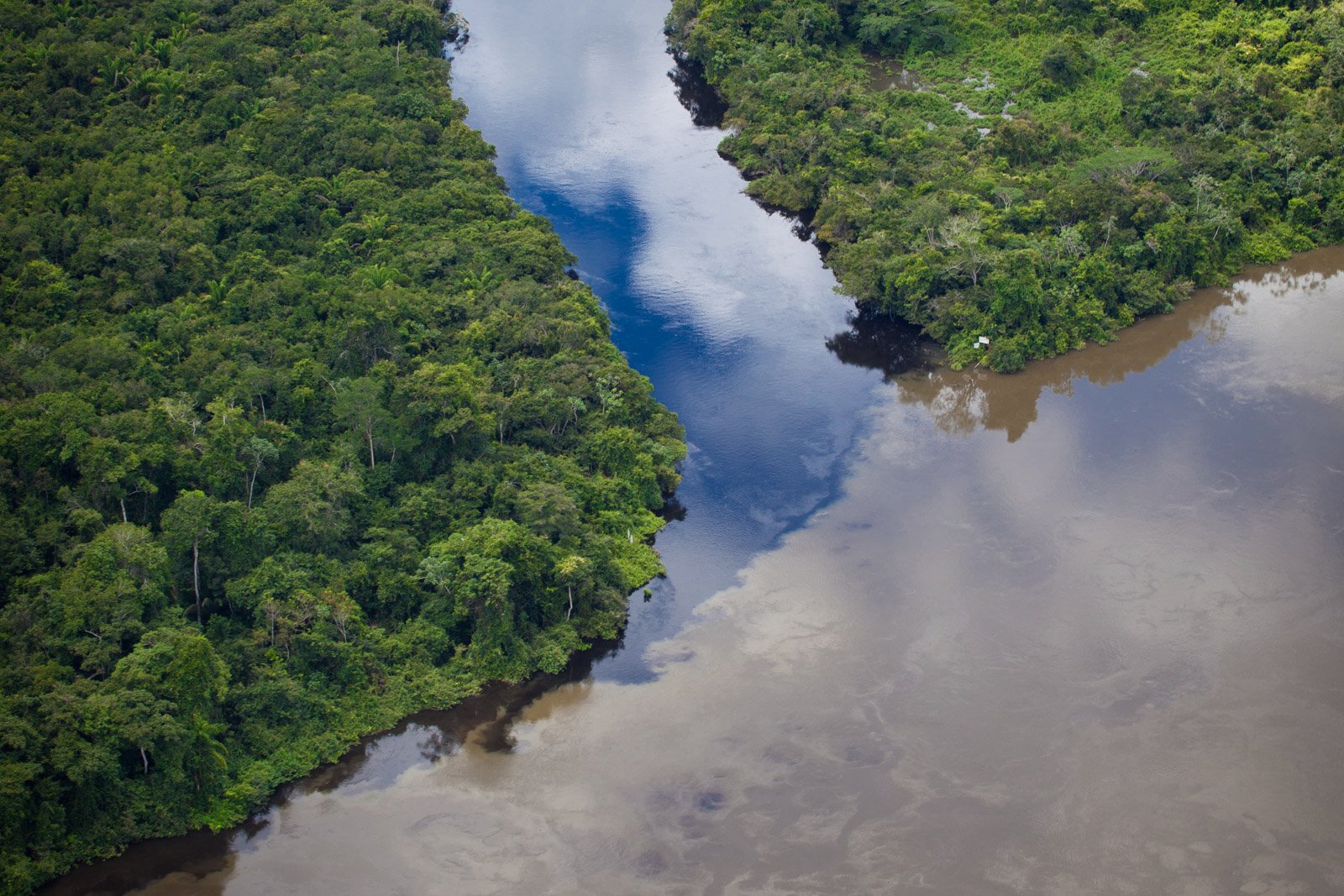 Aerial view of a dark-water tributary merging with a pale silty river through dense Amazon rainforest canopy at Cristalino Jungle Lodge