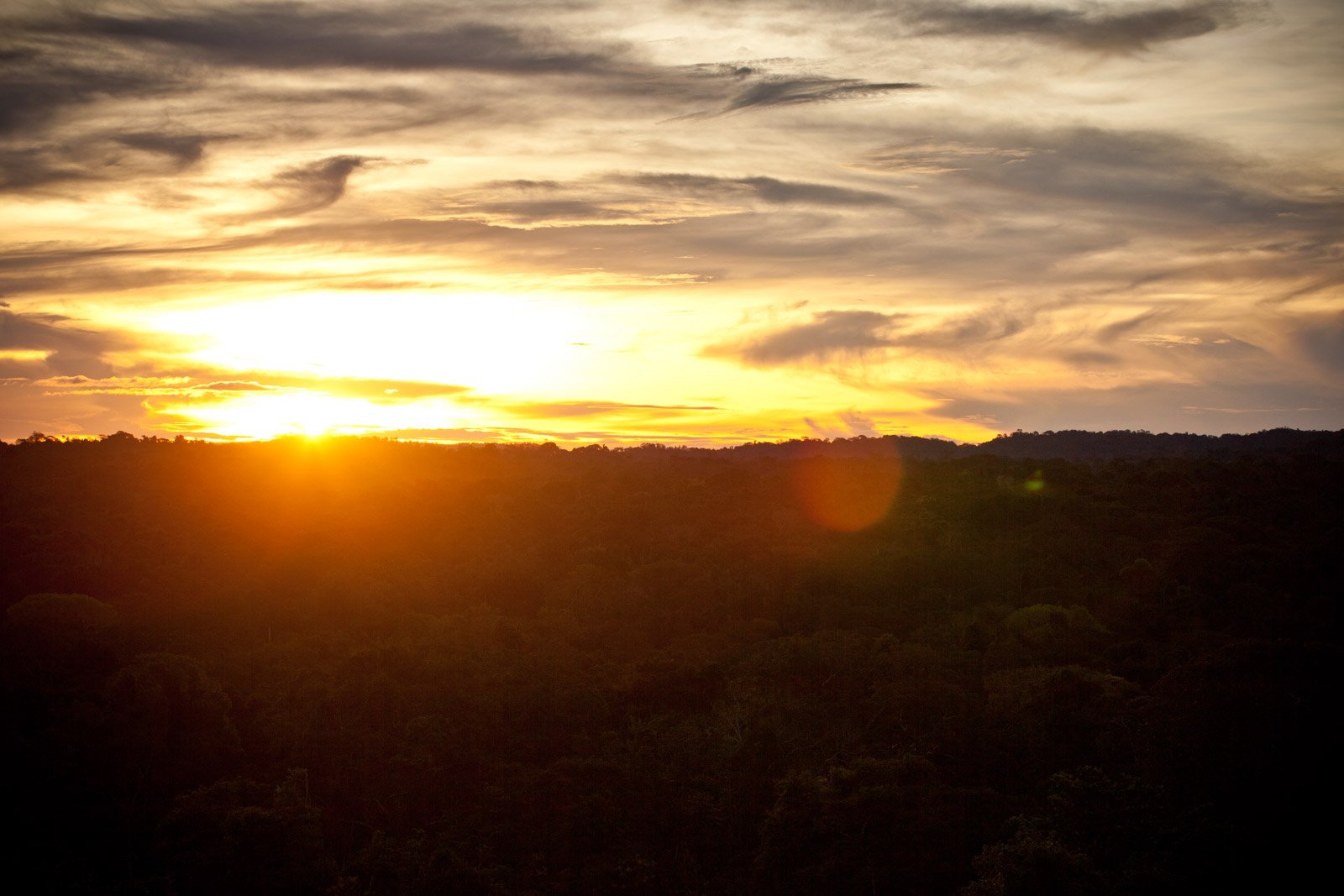 Fifty metres up, the whole Amazon glows. Photo: Samuel Melim A golden sunset blazes over an unbroken tropical forest canopy at Cristalino Jungle Lodge, with dramatic clouds streaked across the wide sky