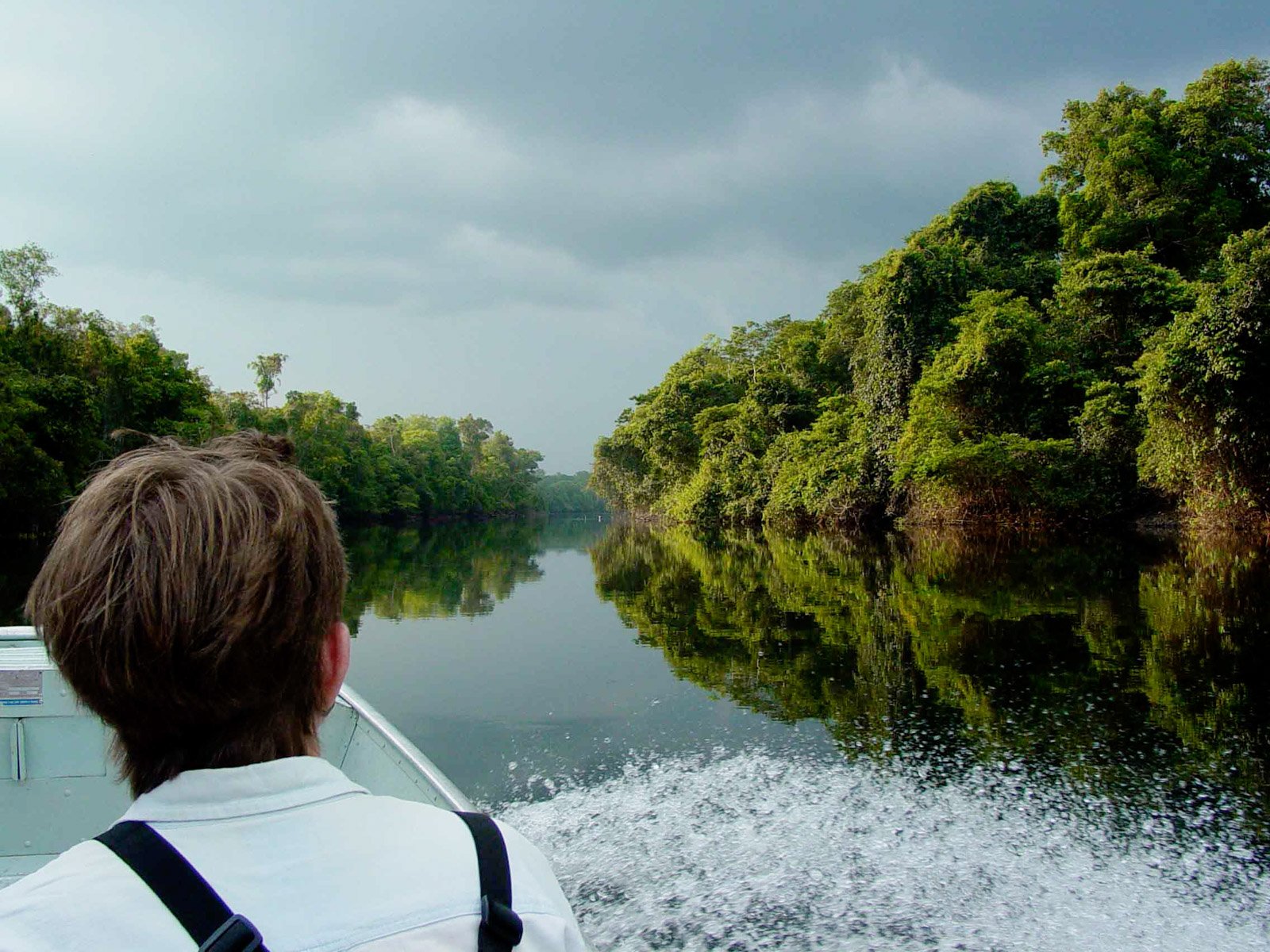 Gliding into the wild — your first Amazon moments begin on the water. Photo: Jorge Lopes A passenger looks ahead from a motorboat gliding along a mirror-calm jungle river flanked by dense rainforest canopy at Cristalino Jungle Lodge