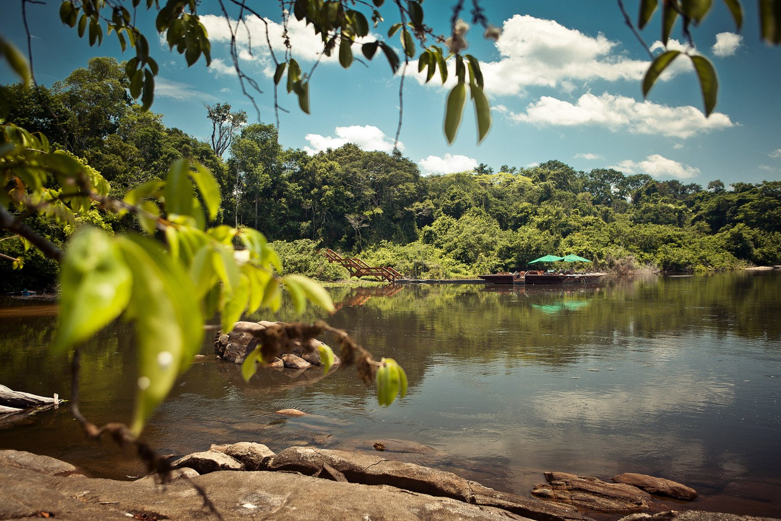 Jungle silence, broken only by the drift of a wooden dock into view. Photo: Samuel Melim (c) A calm river reflects dense rainforest canopy, with the Cristalino Jungle Lodge floating dock and green umbrellas visible across the water, framed by close-up leaves and flat riverside rocks in the foreground