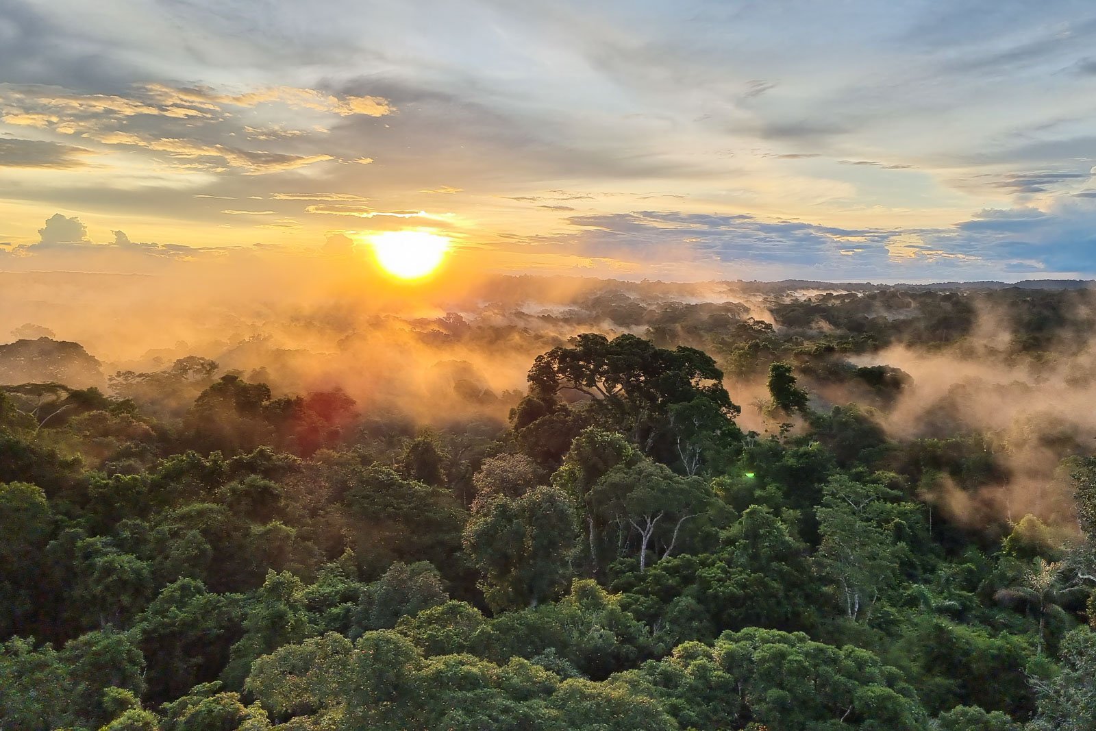 Morning mist rises through the canopy as the sun ignites the forest. Photo: Rafael Ferraz Golden sunrise breaking over a misty tropical rainforest canopy at Cristalino Jungle Lodge, with morning fog drifting between the treetops under a dramatic sky