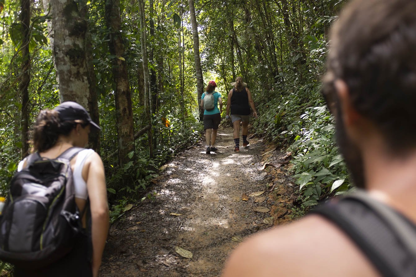 Into the forest — lush Atlantic trails connect Itacaré's legendary beaches. Four hikers with backpacks walking single file along a shaded dirt trail through dense Atlantic Forest near Itacaré, Bahia, on a cycling Bahia itinerary