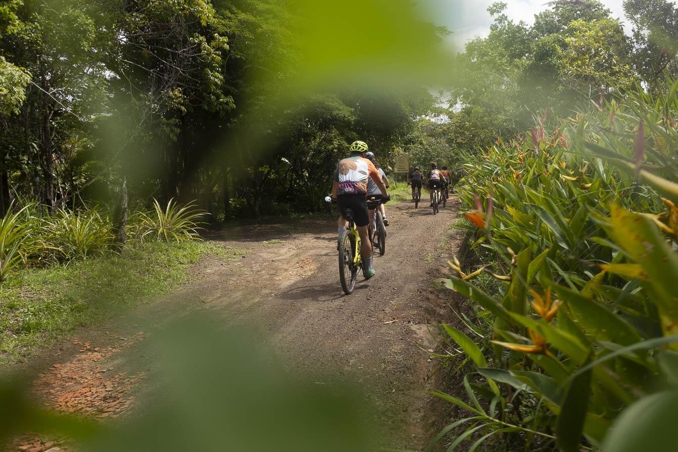 Winding through the green heart of Bahia's Atlantic Forest on two wheels. A group of cyclists riding single file along a narrow dirt trail flanked by tropical vegetation and lush Atlantic Forest trees on a cycling Bahia adventure near Itacaré