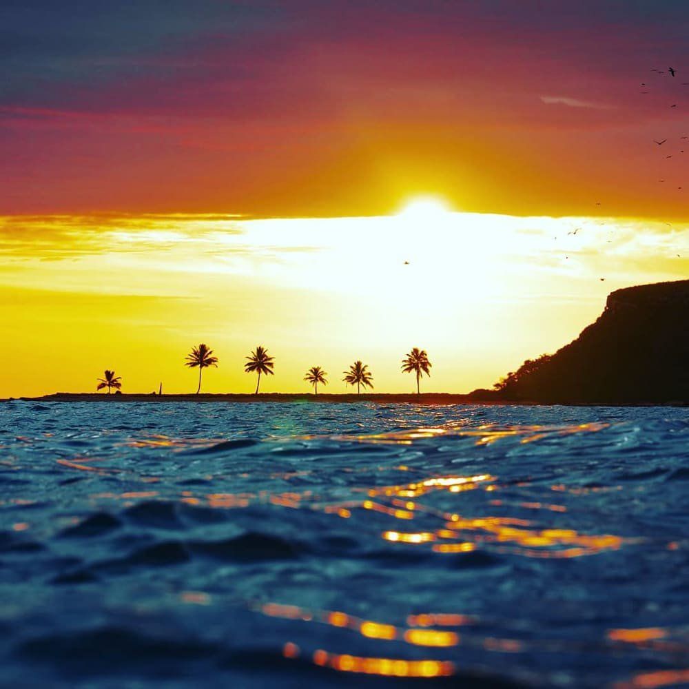 Water-level view of a vivid orange and purple sunset over a low palm-fringed island in the Abrolhos archipelago, with golden light reflecting off rippling blue ocean waves and seabirds silhouetted against the sky
