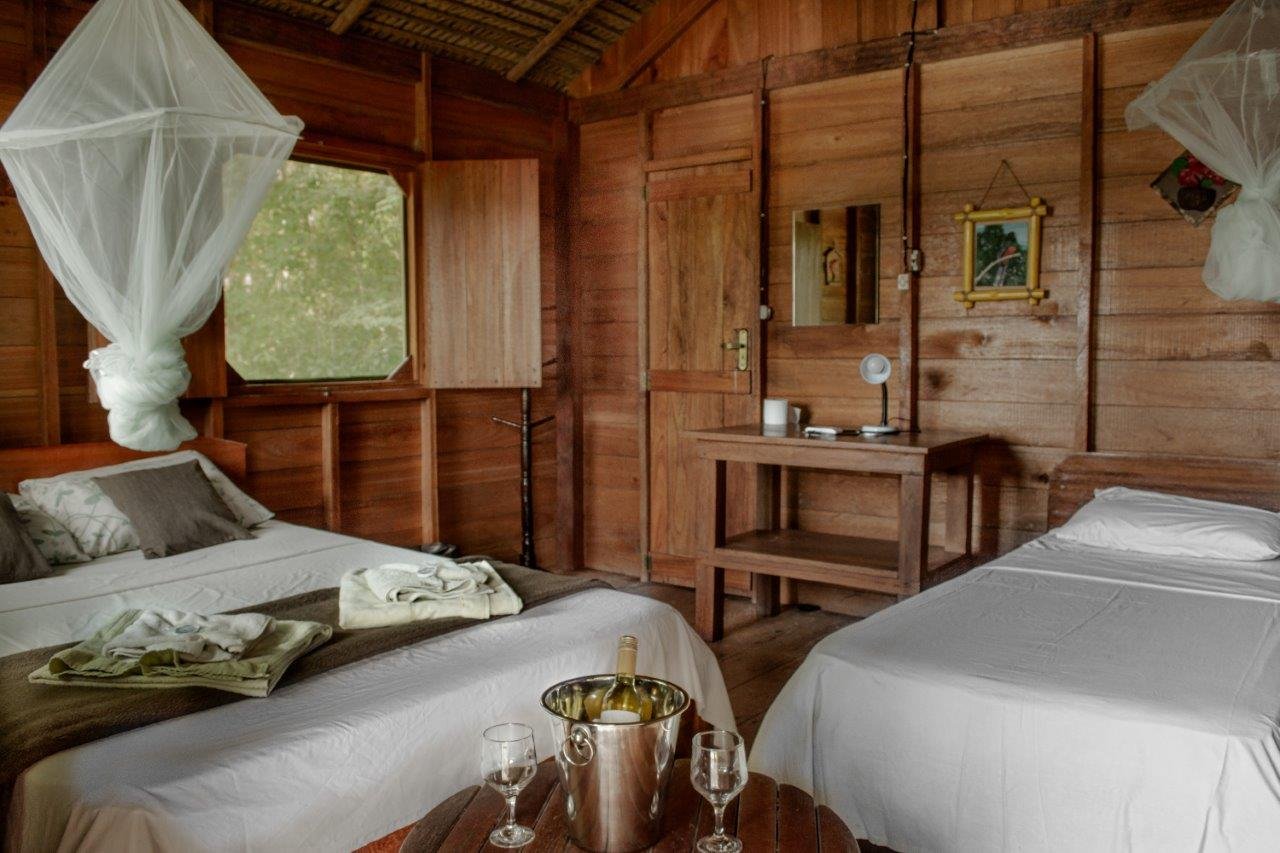 Warm all-wood twin room at Dolphin Lodge with draped mosquito nets and a chilled wine bucket