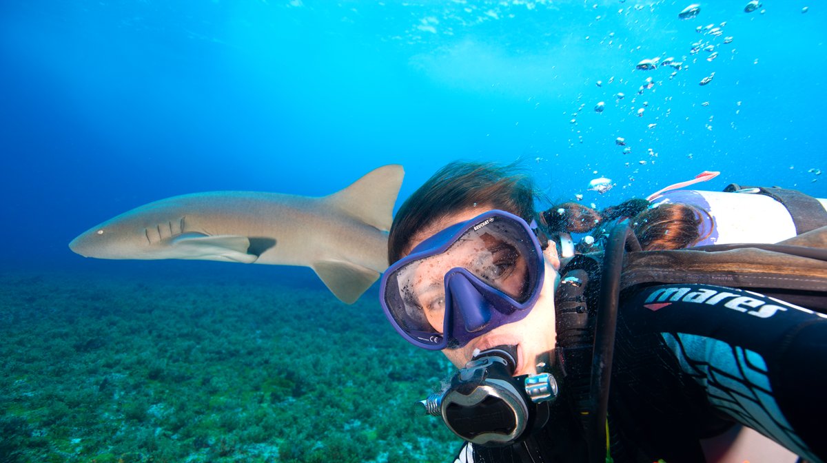 A scuba diver takes a close-up selfie underwater in Fernando de Noronha with a reef shark gliding past in the clear blue water above a rocky seabed, showcasing fernando de noronha diving packages