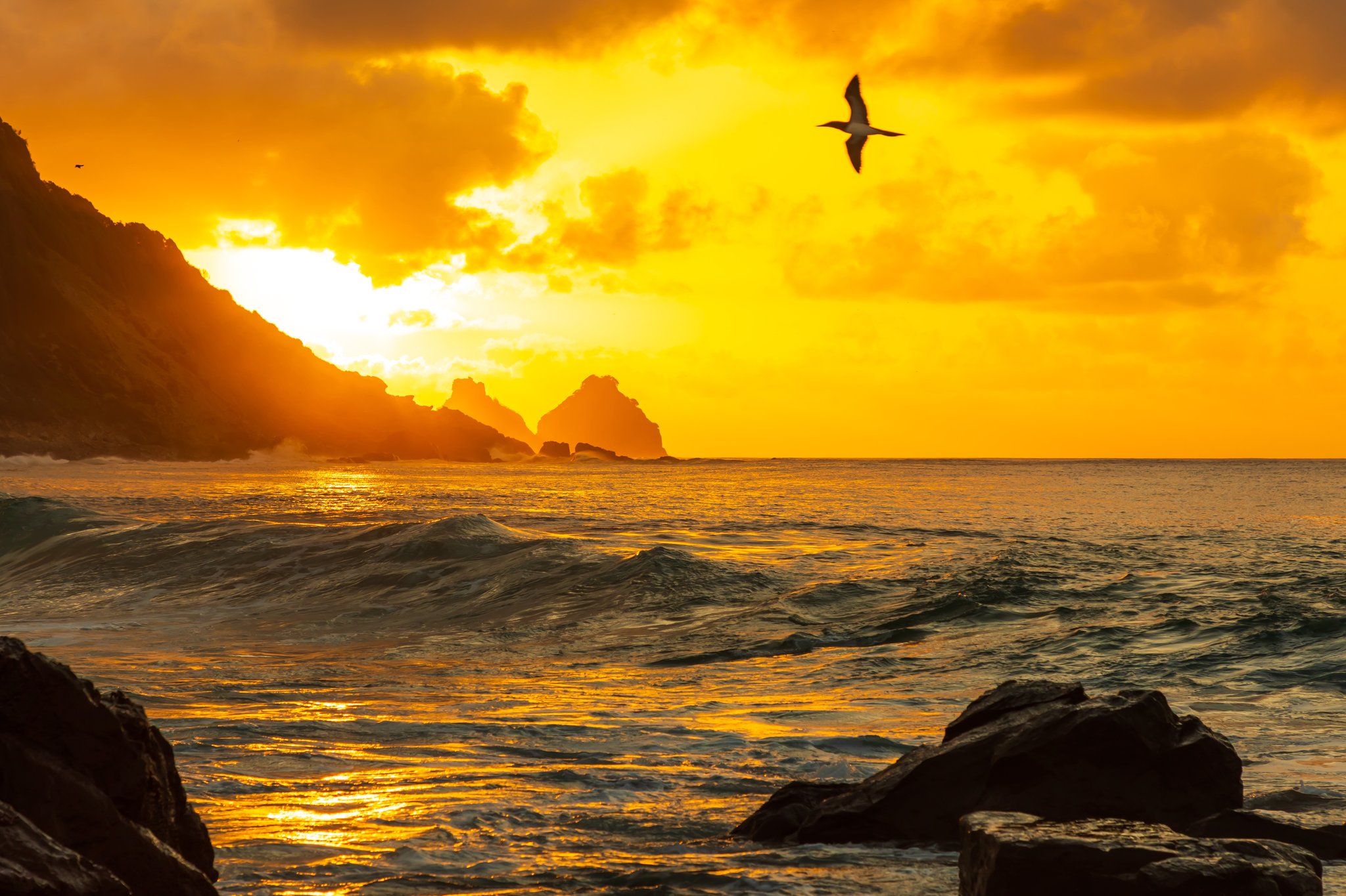 Uma ave marinha voa sobre um pôr do sol dourado e ardente acima do litoral rochoso de Fernando de Noronha, com ondas do Atlântico e ilhotas em silhueta banhadas por uma luz âmbar intensa