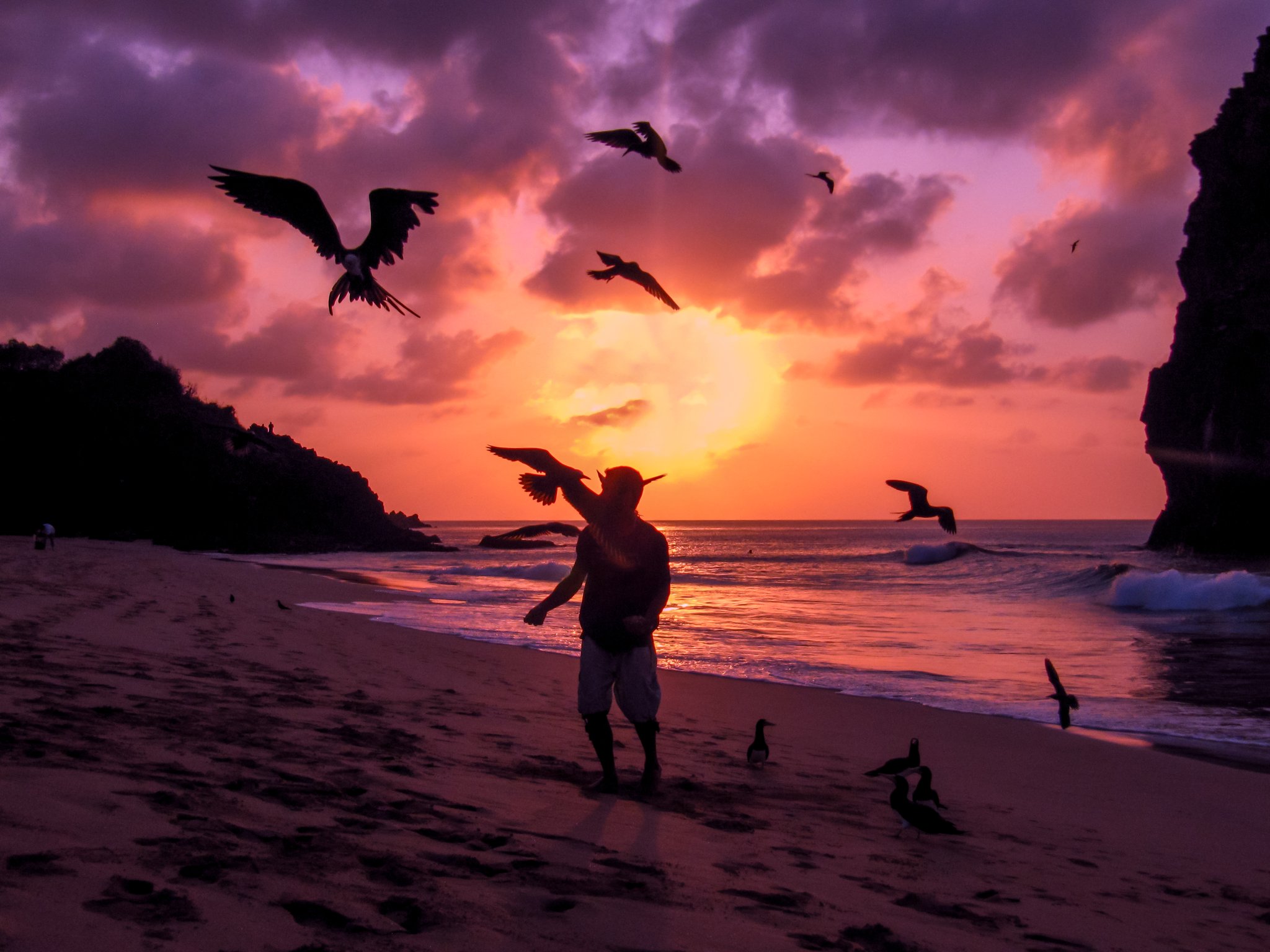 Silhueta de uma pessoa na praia de Fernando de Noronha rodeada por aves marinhas em voo contra um céu de pôr do sol em tons de roxo e laranja