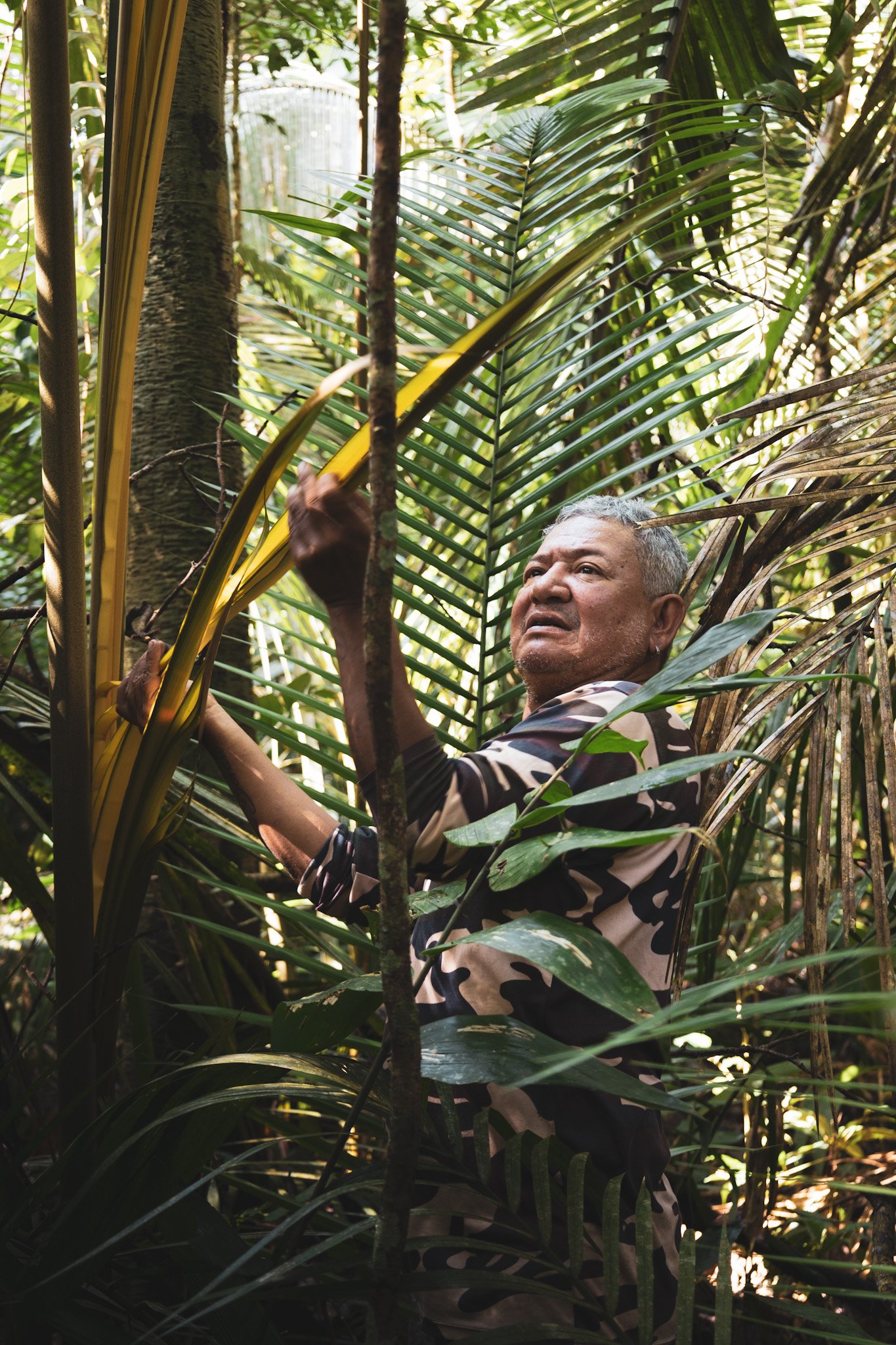 Local guide harvesting a palm frond while teaching jungle survival skills in the Amazon