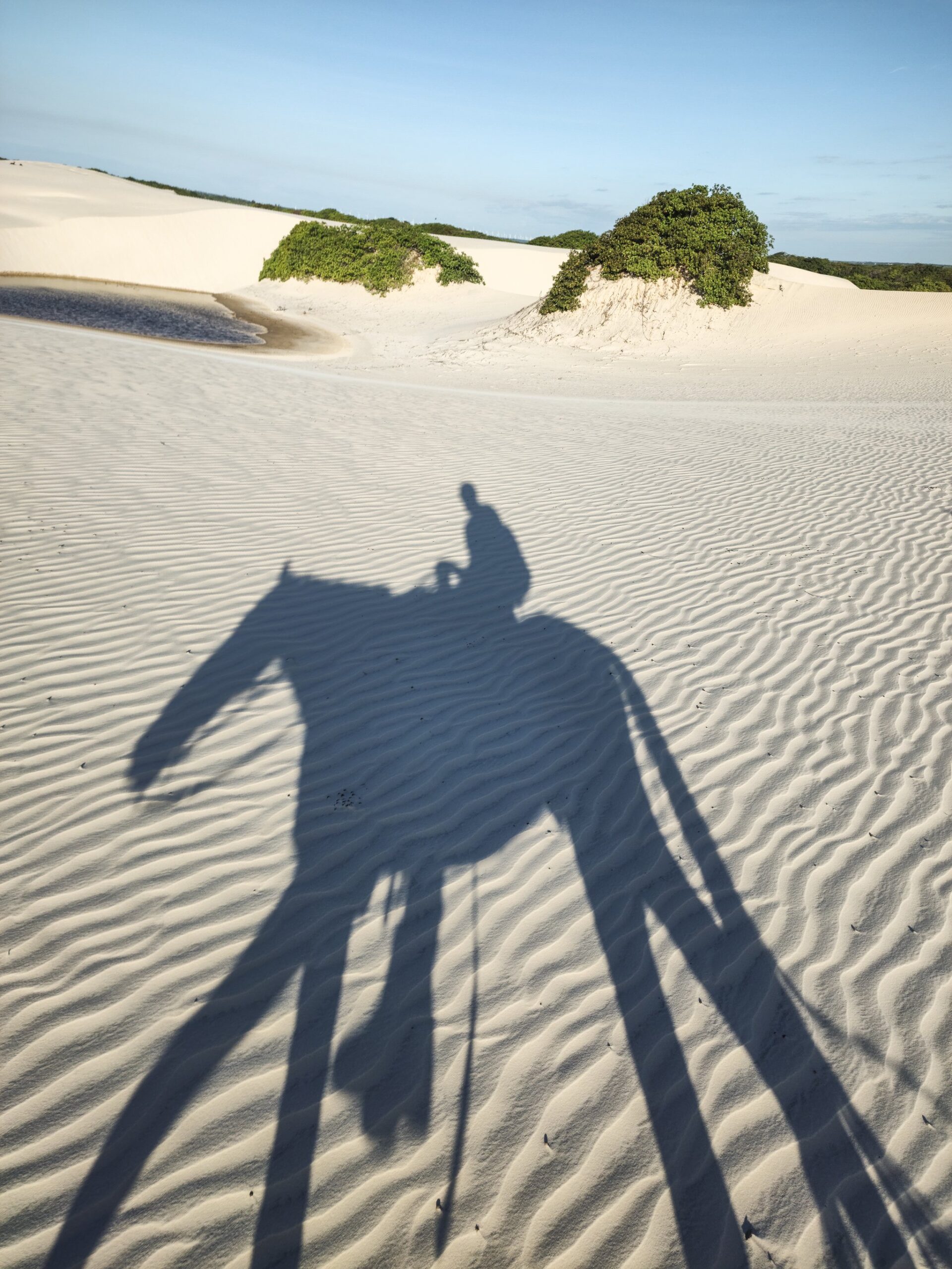 Long shadow of a rider on horseback cast across wind-rippled white sand dunes with scattered green shrubs and a shallow lagoon in the background during a horseback riding Lençóis Maranhenses tour