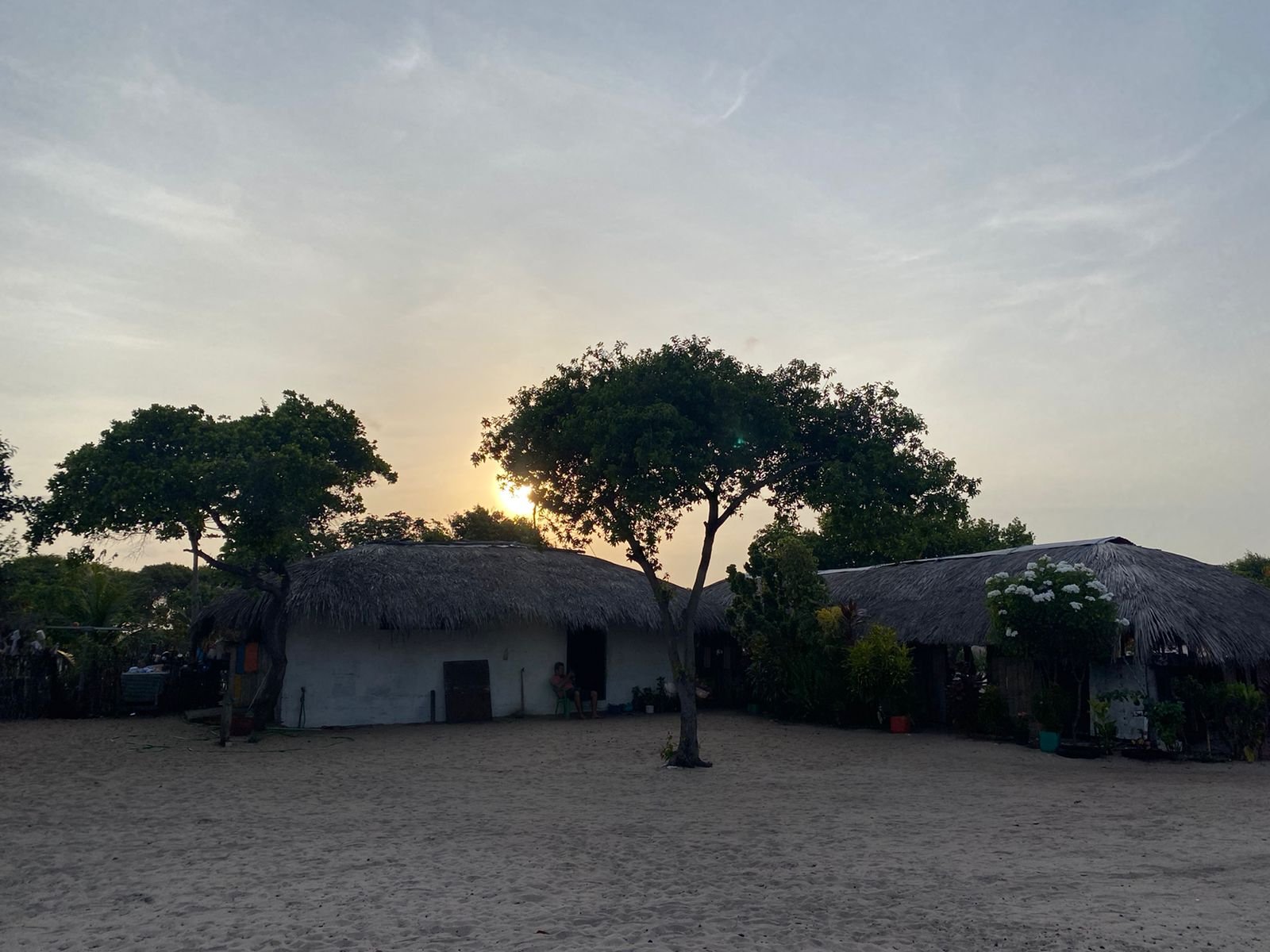 Whitewashed thatched-roof houses and a lone tree silhouetted against the setting sun on a sandy open ground, a typical local community along the horseback riding Lençóis Maranhenses tour route