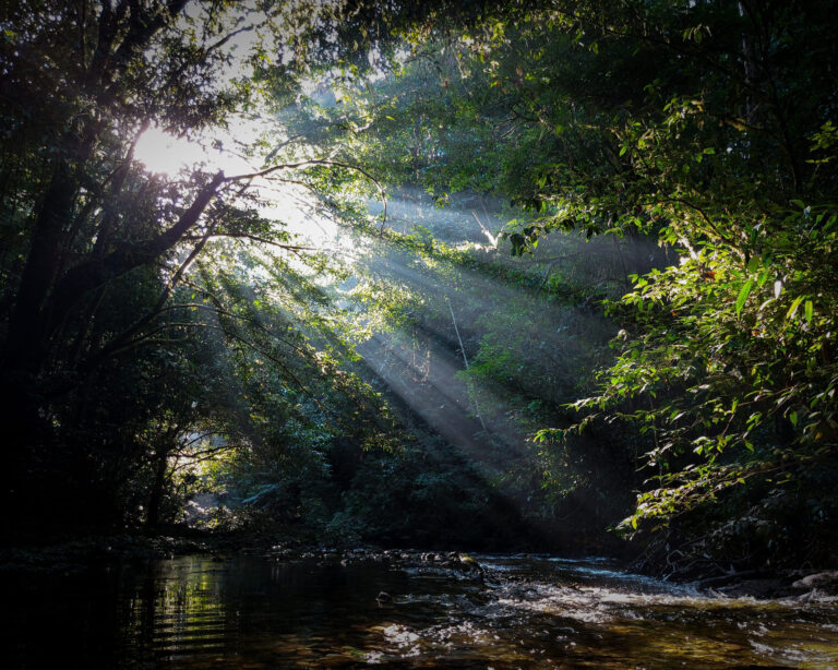 Best Places to Visit in the Amazon, Brazil Best Places to Visit in the Amazon, Brazil