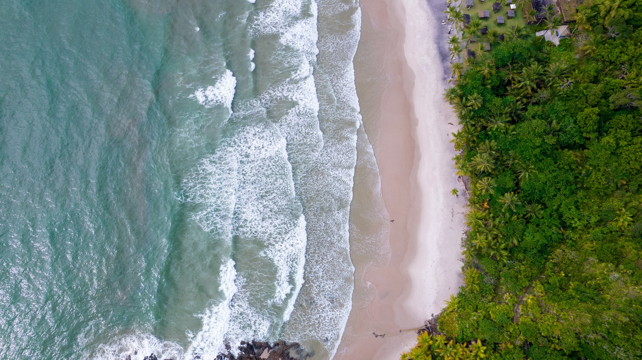 Aerial view of itacaré tours coastline showing turquoise waves breaking onto a pale sand beach edged by dense Atlantic Forest palm canopy