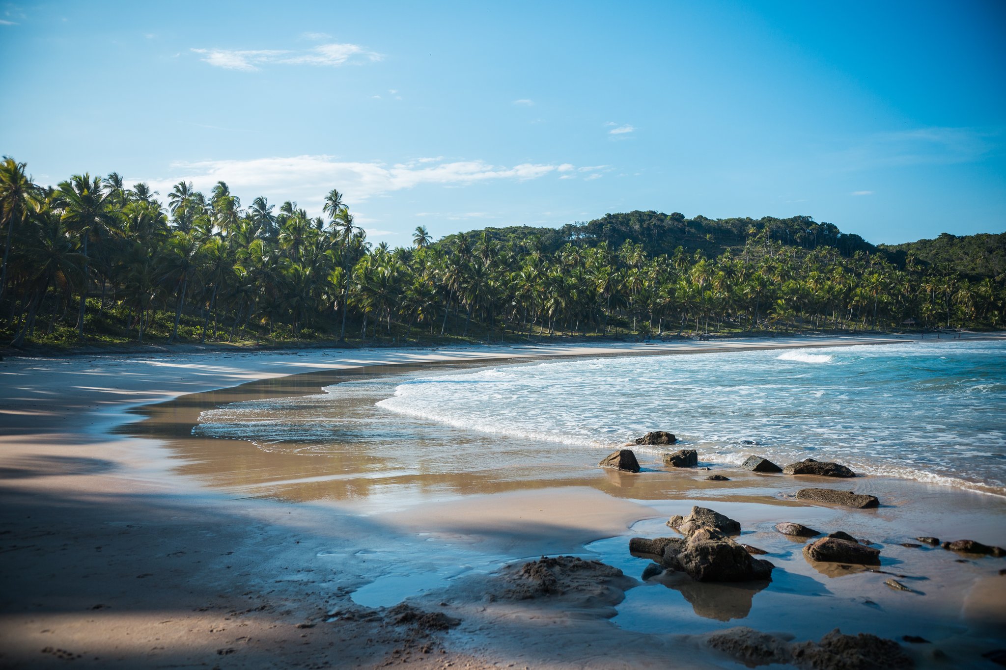 A sweeping arc of golden sand on an itacaré tours beach, with dark coastal rocks in the shallows, gentle Atlantic waves, and a dense wall of coconut palms backed by Atlantic Forest hills under a clear blue sky
