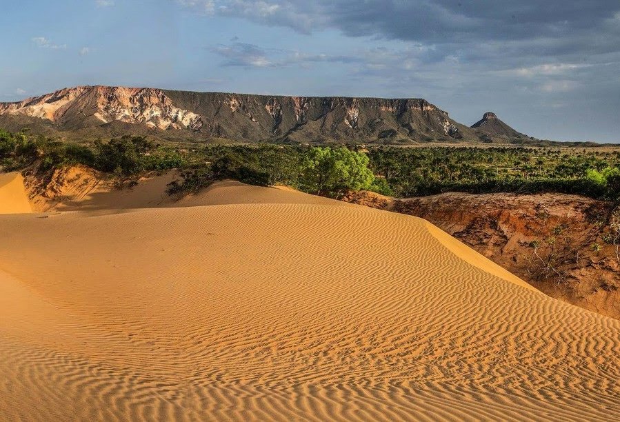 Door wind gevormde gouden zandduinen op de voorgrond van een Jalapão-avontuurlandschap, met een vlaktafelberg van zandsteen en groene cerrado-vegetatie onder een dramatisch bewolkte lucht