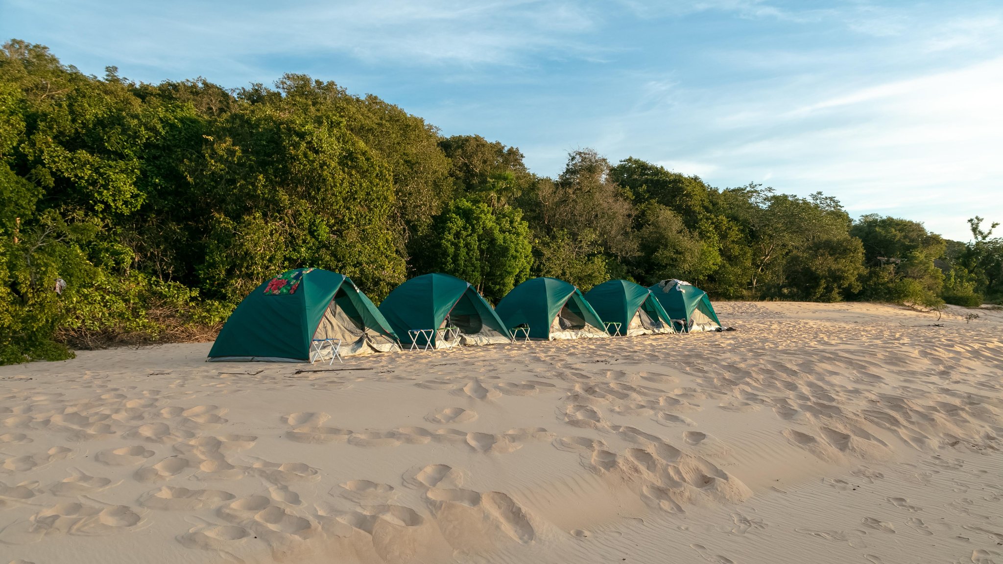 Five tents, one strip of white sand — your basecamp on the dunes. Photo: Alberto Andrich A row of five green dome tents pitched on white sand at the edge of a dense green forest during a Jalapão trekking expedition, with folding stools beside each tent and a clear blue sky above