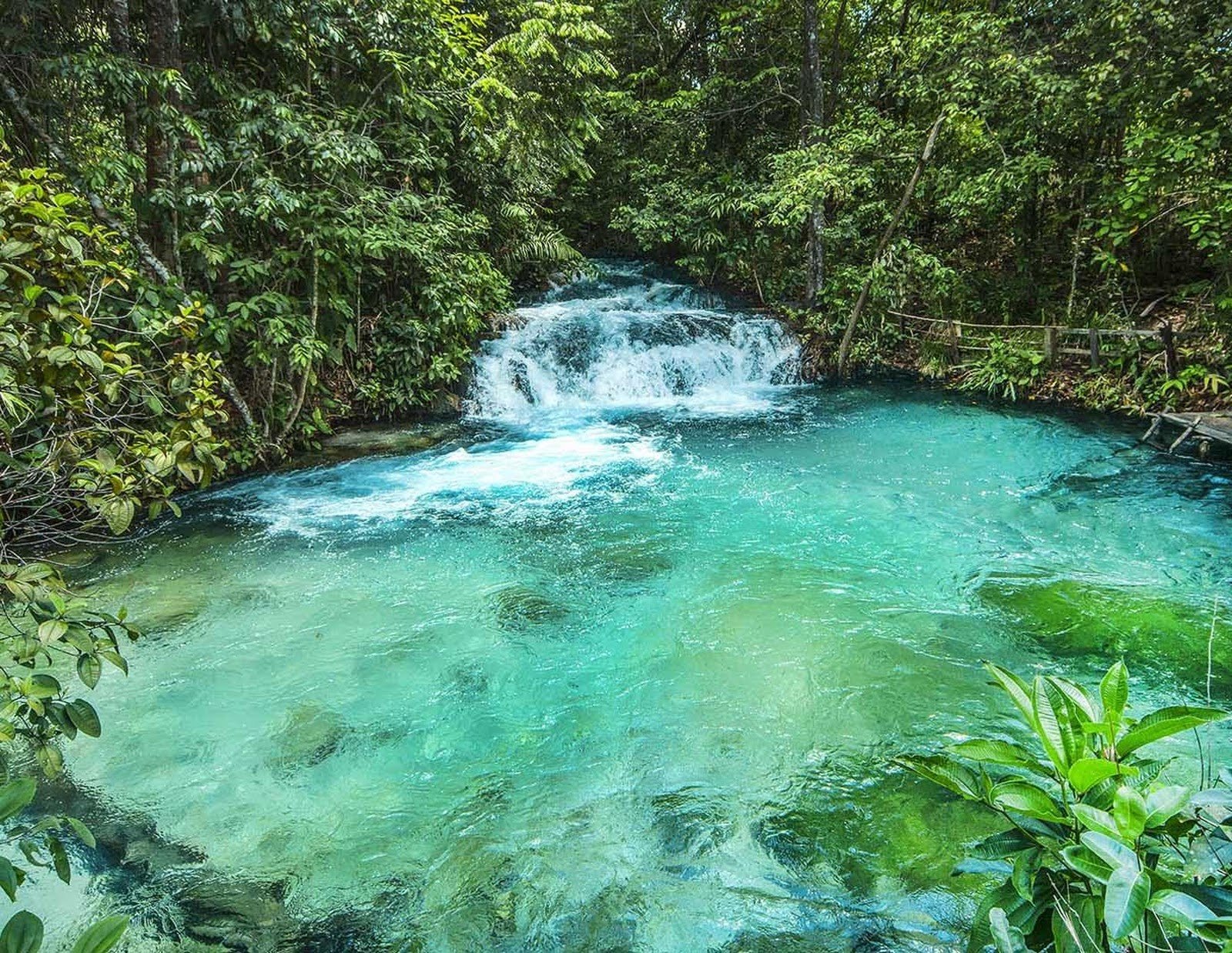 Turquoise water, impossible clarity — a jungle cascade all to yourself. A small waterfall cascades into a wide, turquoise natural pool surrounded by dense green forest on a Jalapão trekking route