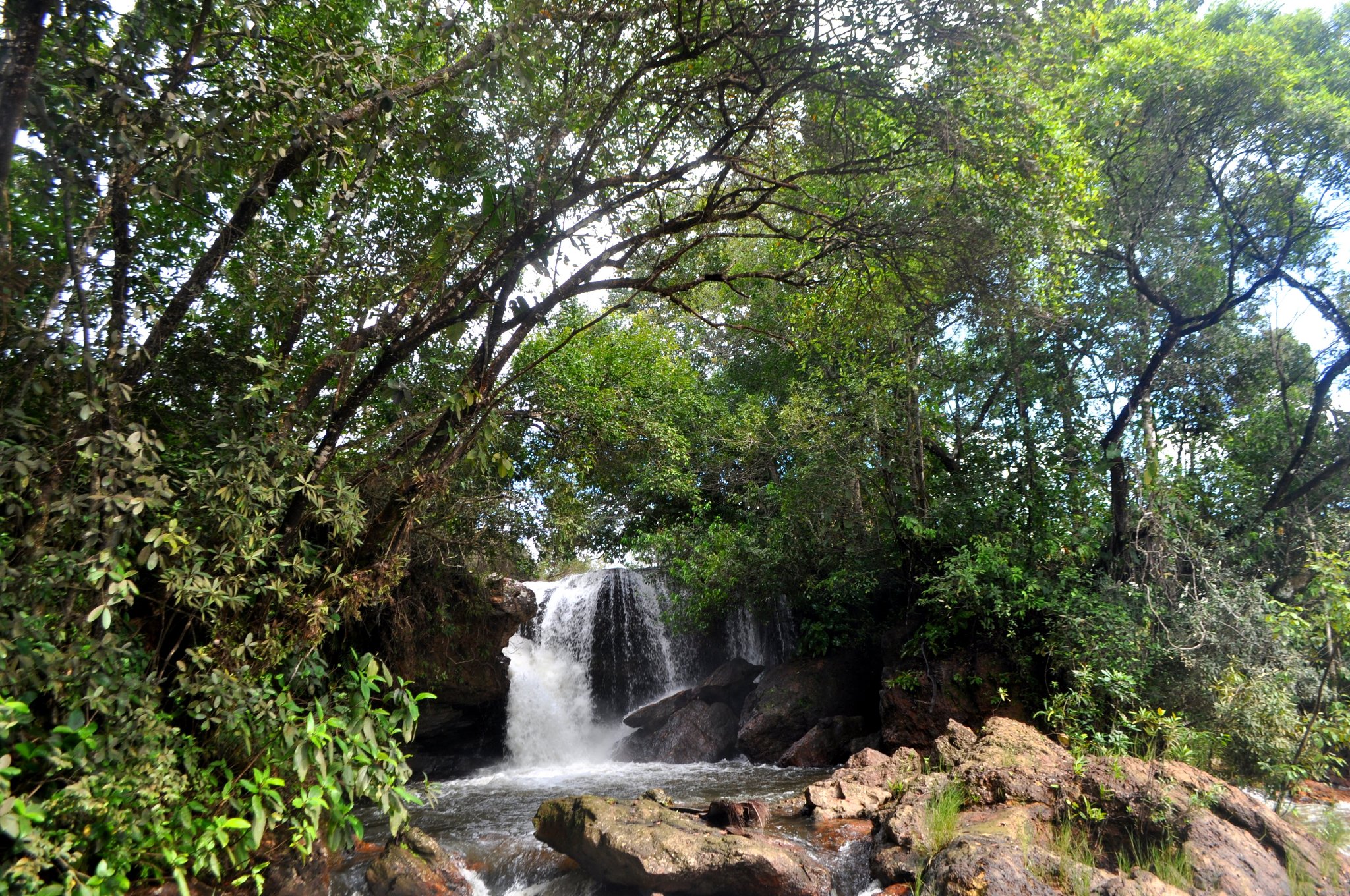 Mist rising, branches arching — a hidden waterfall deep in the cerrado. Photo: Picasa A cascading waterfall tumbles over mossy rocks into a clear pool, framed by a dense canopy of trees arching overhead on a Jalapão trekking route