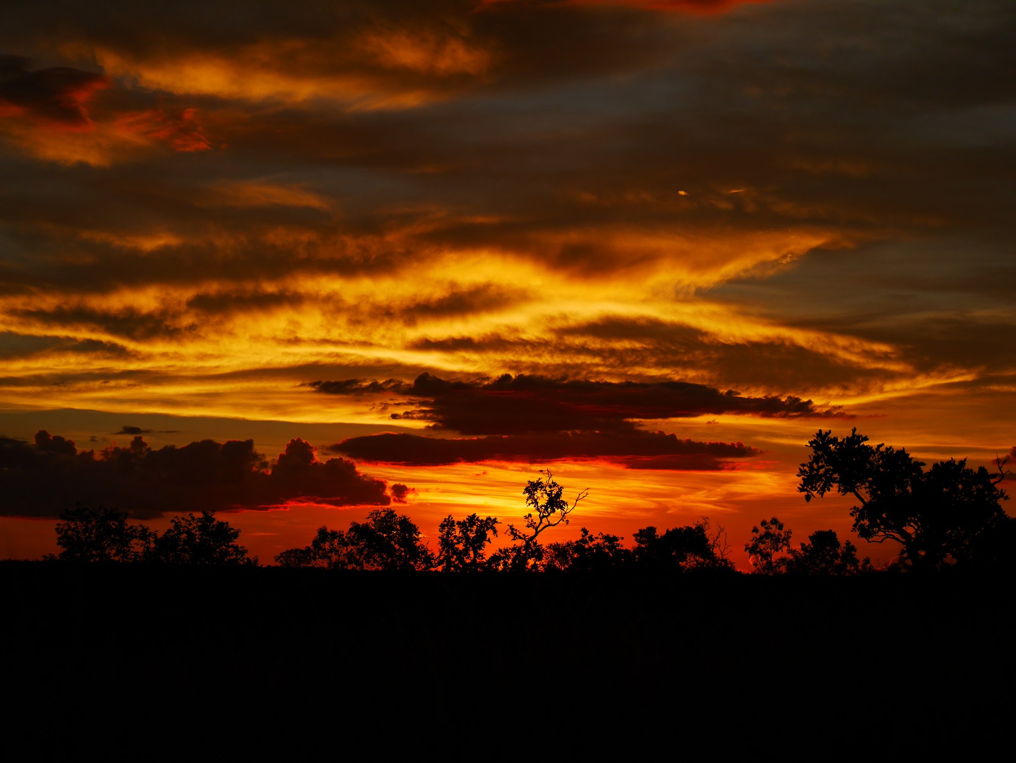 Céu em chamas, cerrado em sombra — o fim de um dia inesquecível no Jalapão. Pôr do sol dramático e flamejante sobre a silhueta de árvores do cerrado em uma viagem ao Jalapão, com camadas de nuvens vermelho-vivas, âmbar e dourado