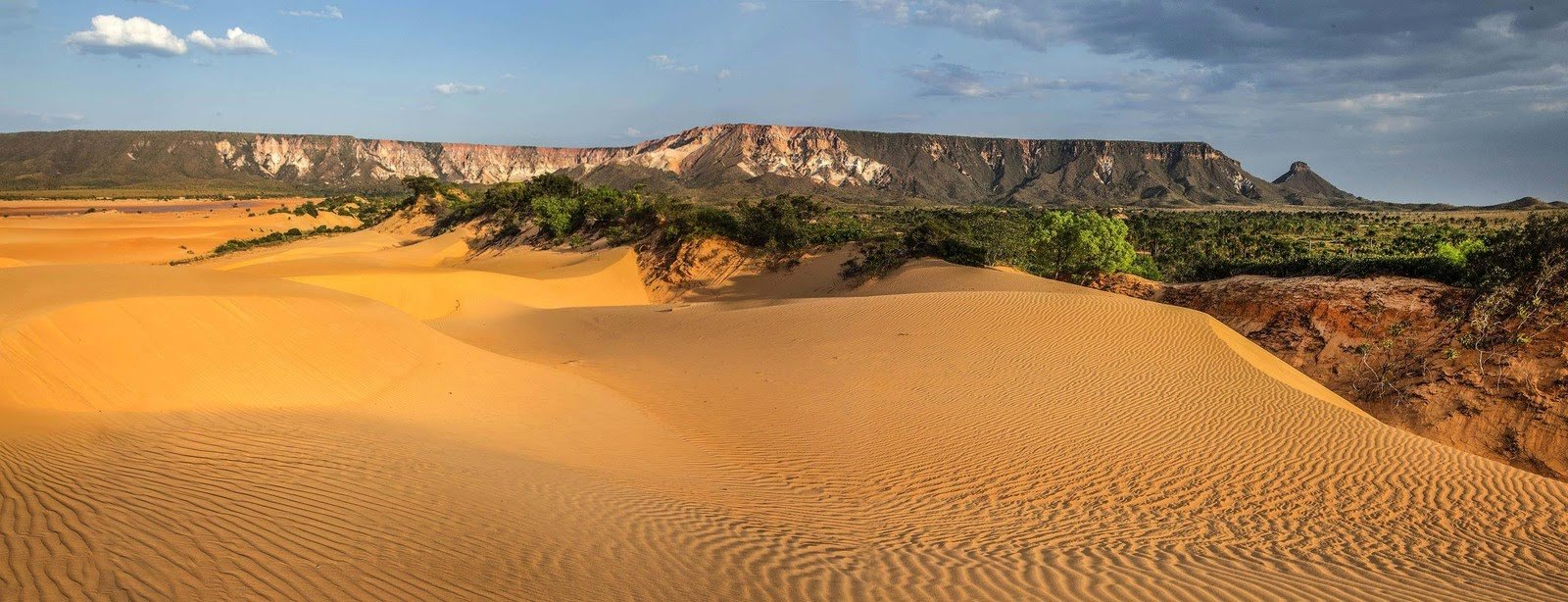 Areia moldada pelo vento, chapada recortada no horizonte — paisagem única do Jalapão. Dunas de areia dourada modeladas pelo vento em Jalapão estendendo-se até uma chapada de arenito e vegetação de cerrado sob um céu azul dramático