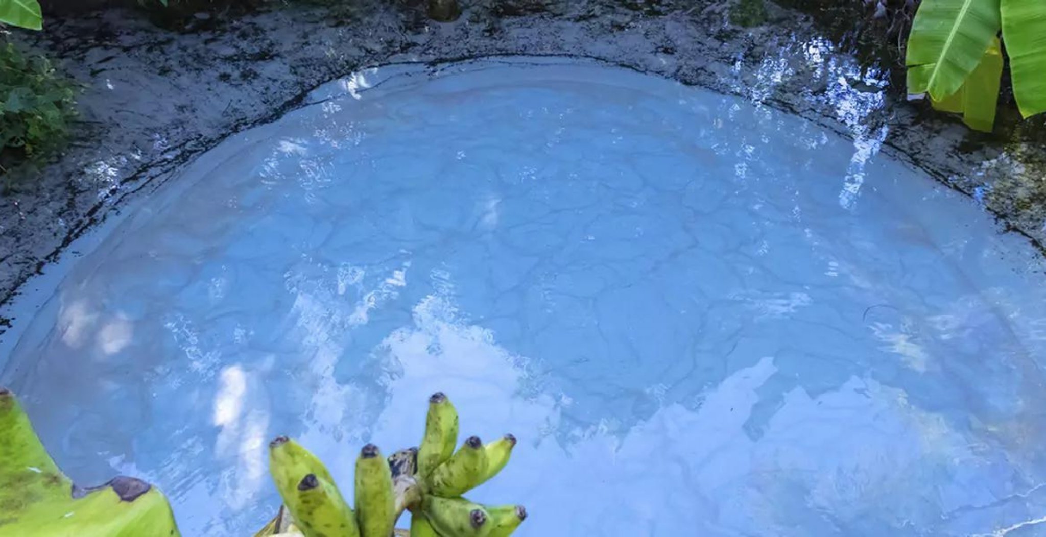 Um fervedouro circular de águas azuis cristalinas, com bordas de pedra cobertas de musgo e folhas de bananeira ao redor, durante uma viagem ao Jalapão