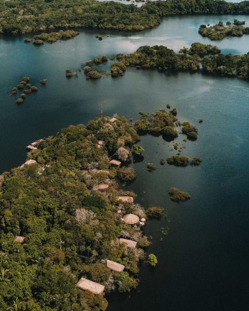 Thatched rooftops peek through a canopy of green, an island lodge entirely embraced by the Amazon. Aerial view of Juma Amazon Jungle Lodge nestled among dense rainforest canopy on a river island, with thatched-roof bungalows visible through the trees and dark Amazon waters surrounding the land on all sides