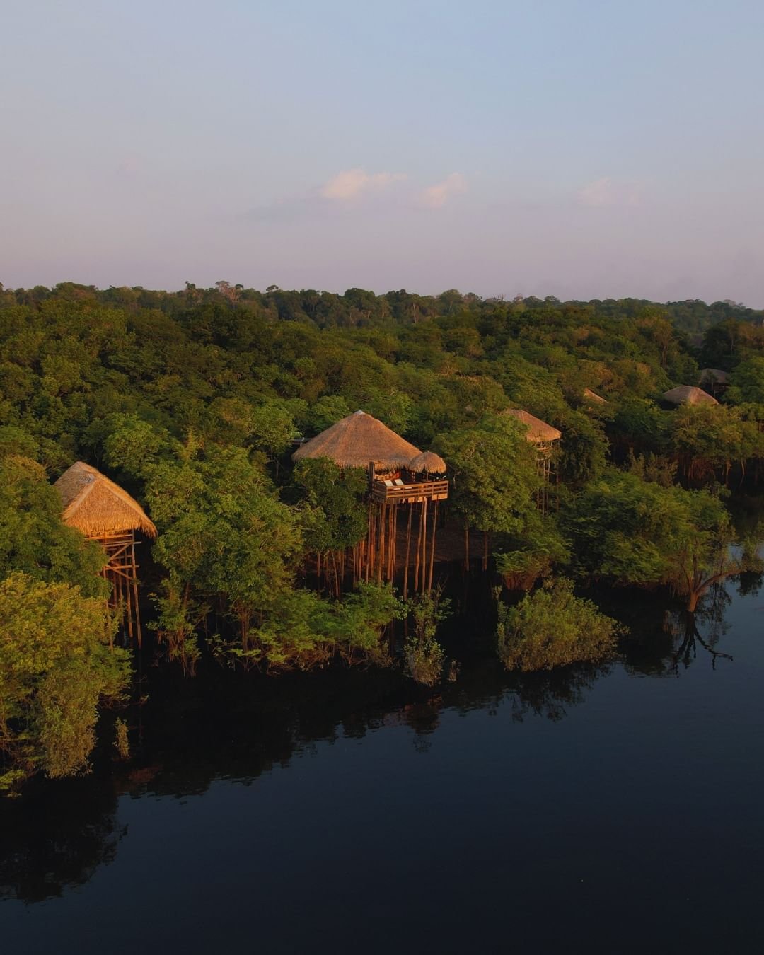 Luftaufnahme der Juma Amazon Jungle Lodge mit strohgedeckten Bungalows auf Holzstelzen über dem Regenwalddach neben einem spiegelglatten dunklen Fluss im goldenen Abendlicht