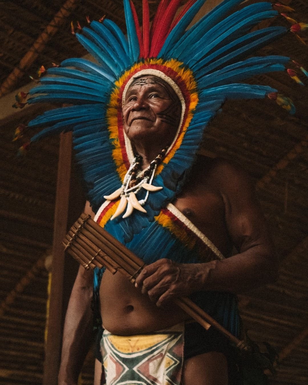 Feathers fanned wide, a melody rising — living tradition in the heart of the Amazon. An indigenous elder wearing a vivid blue-and-red feather headdress and seed-tooth necklace plays a bamboo pan flute inside a thatched maloca, embodying the living culture encountered on a Juma Amazon Jungle Lodge visit