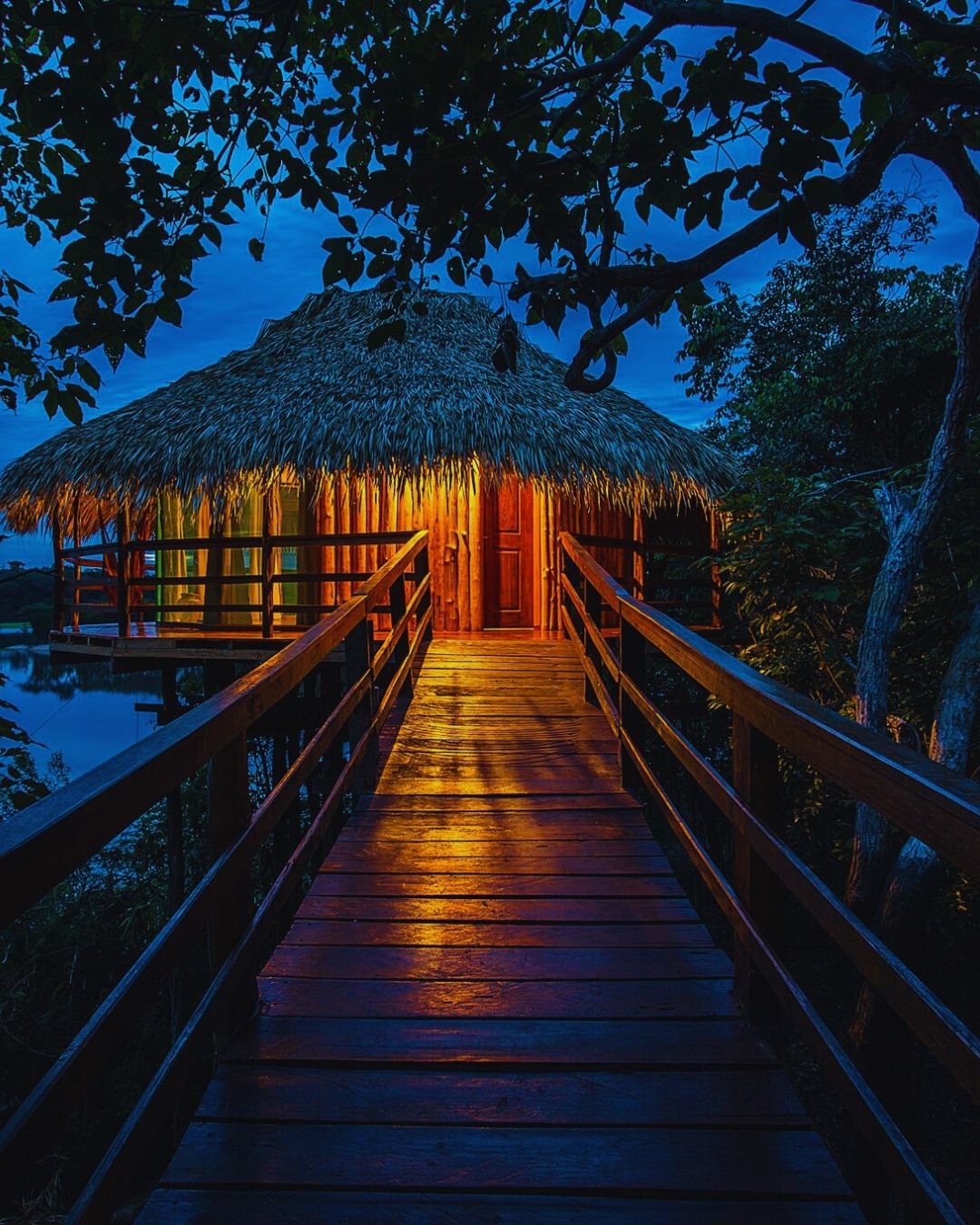 Ein Holzsteg führt durch das Blätterdach des Dschungels zu einem warm beleuchteten Strohdach-Bungalow der Juma Amazon Jungle Lodge, der bernsteinfarben gegen den tiefblauen Abendhimmel leuchtet