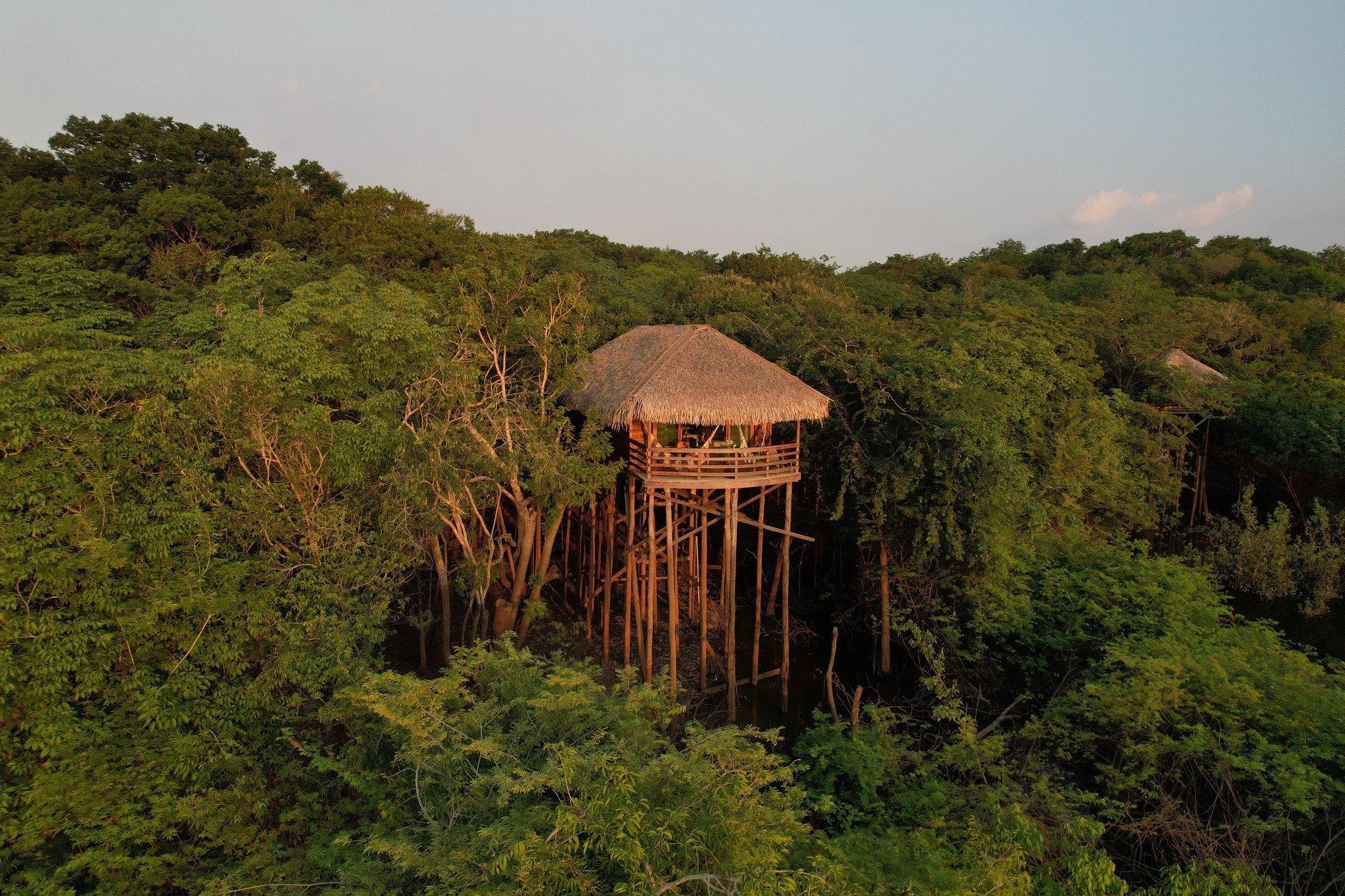 Ein erhöhtes Reetdach-Bungalow der Juma Amazon Jungle Lodge ragt auf hohen Holzstelzen aus dem Blätterdach hervor und ist in warmes Abendlicht getaucht