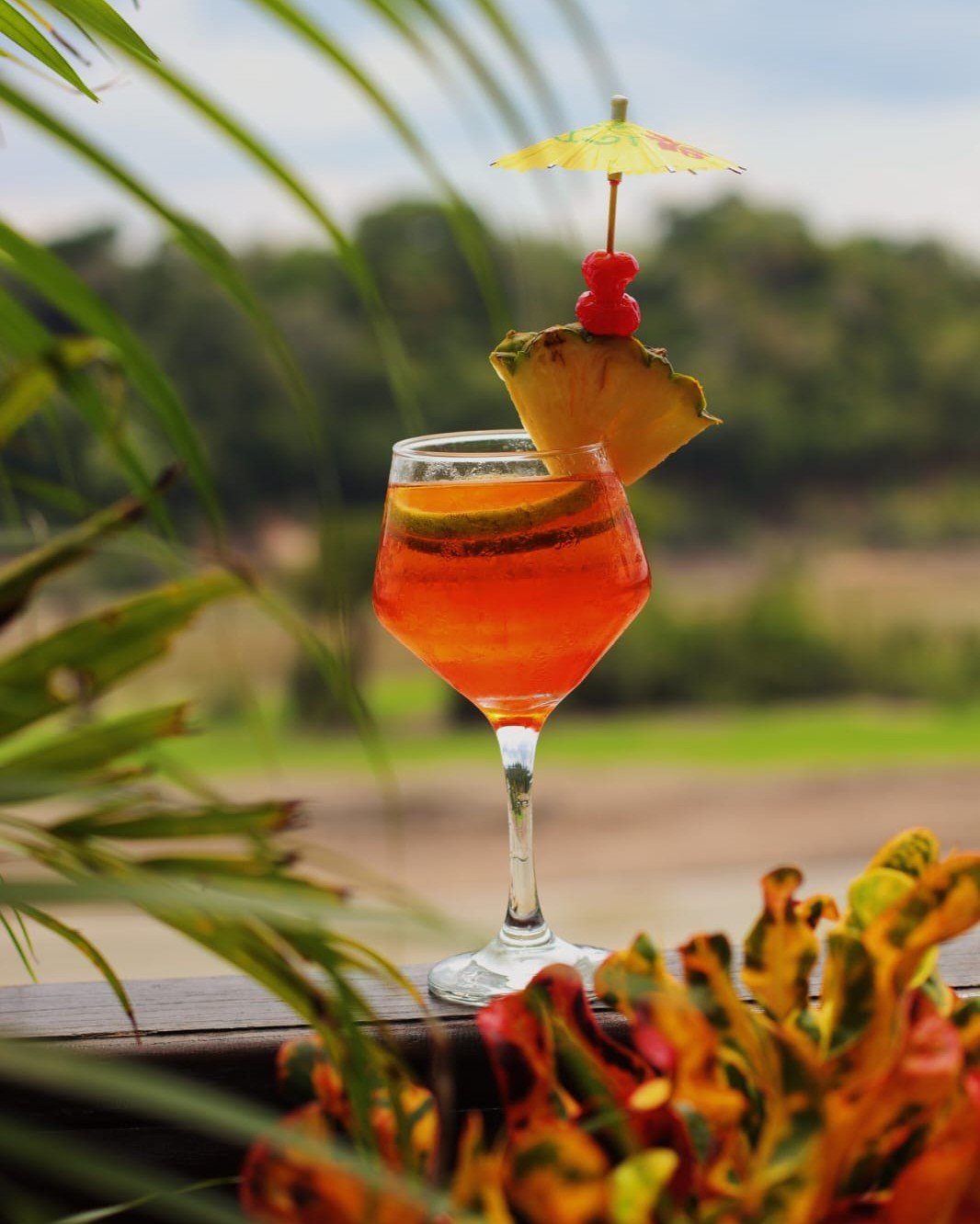 Tropischer orangefarbener Cocktail mit Ananas, Kirschen und Papierschirmchen in der Juma Amazon Jungle Lodge, umgeben von verschwommenem Grün