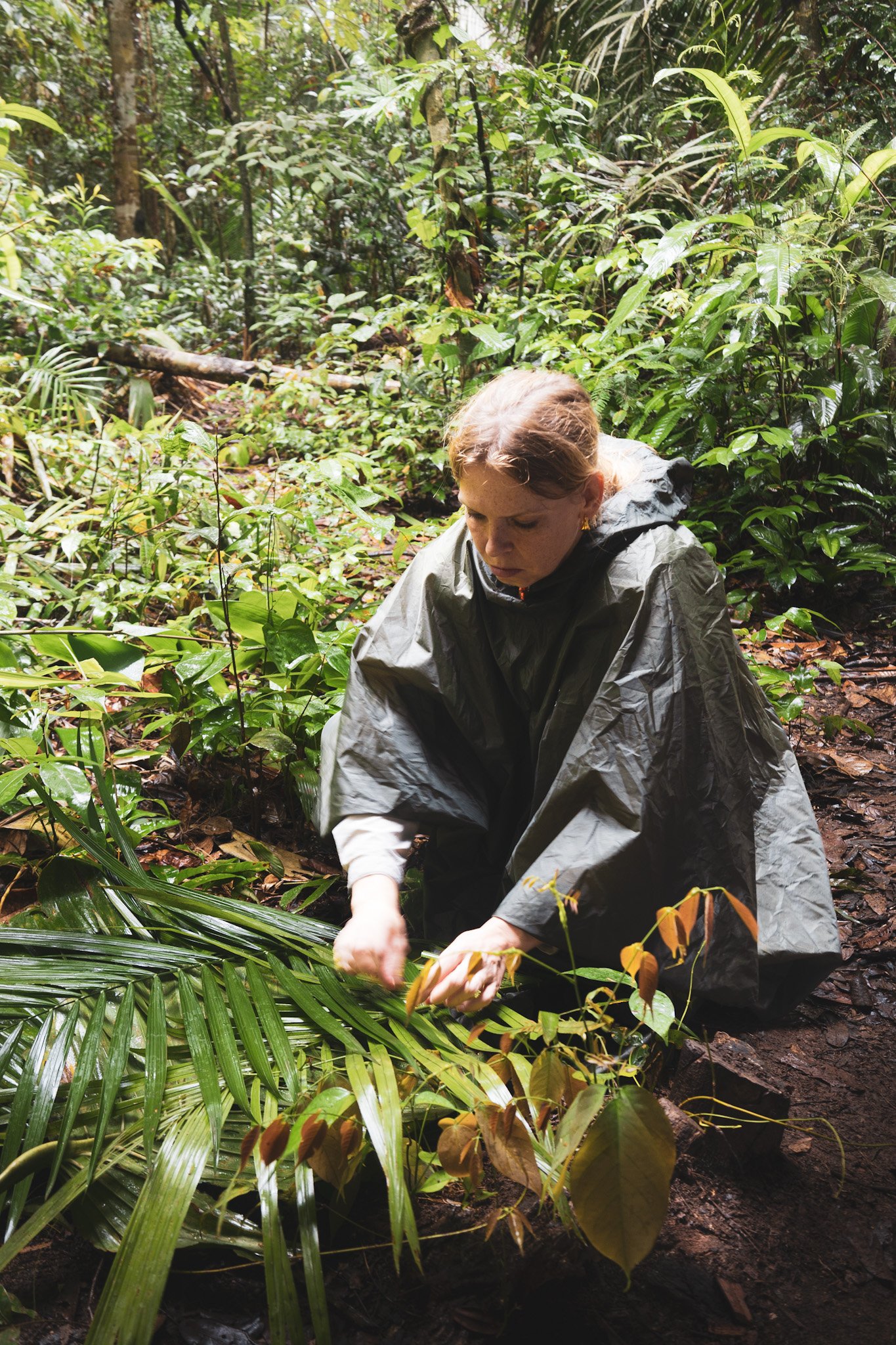 Survival training in action: weaving palm fronds the way local guides do. Traveler learning jungle survival skills, weaving palm fronds on the forest floor during Amazon rainforest trips
