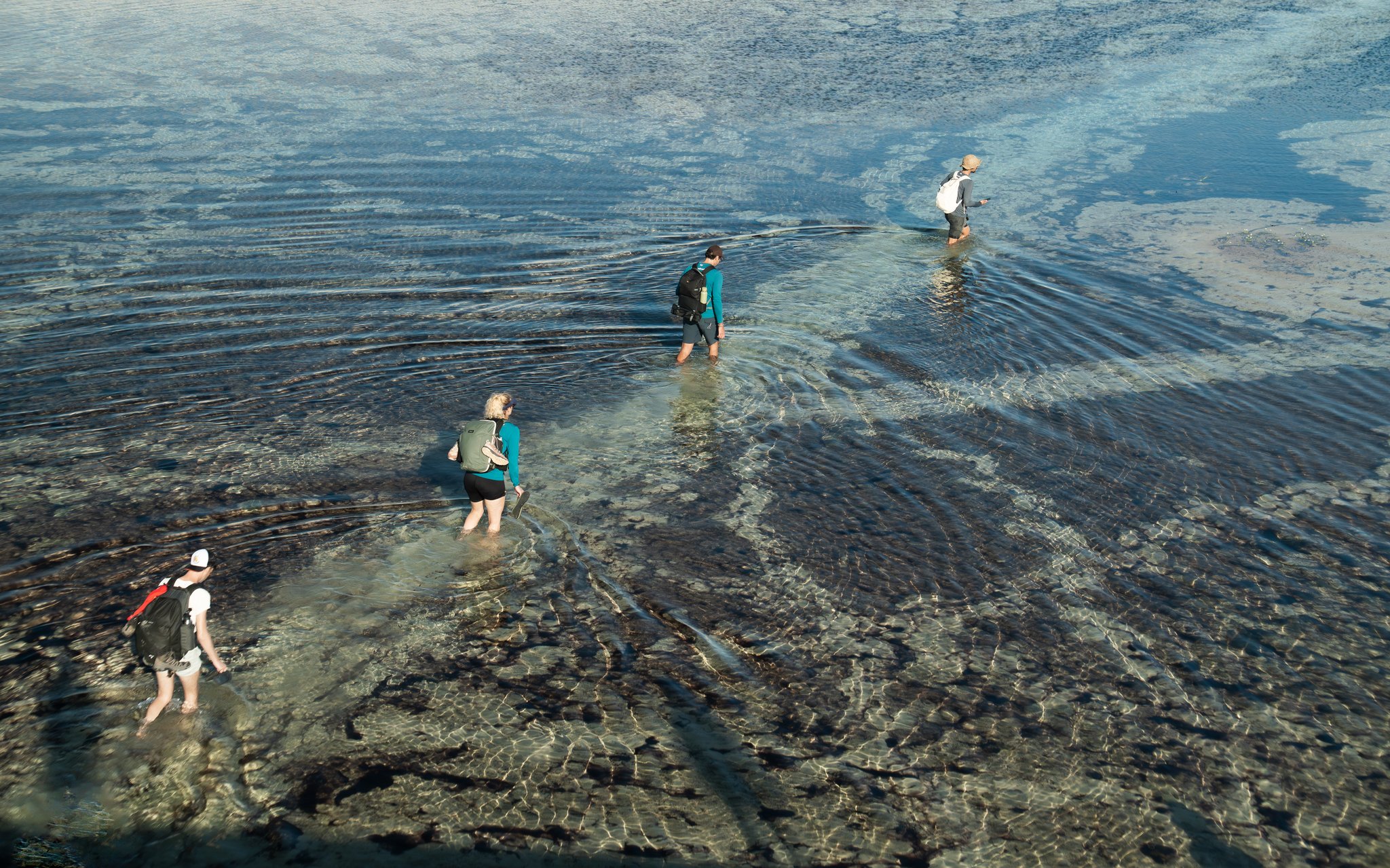 Água pelos joelhos e ondas se abrindo a cada passada. Quatro caminhantes atravessando águas rasas e cristalinas durante uma trilha pelos Lençóis Maranhenses, com ondulações se espalhando pela superfície a cada passo