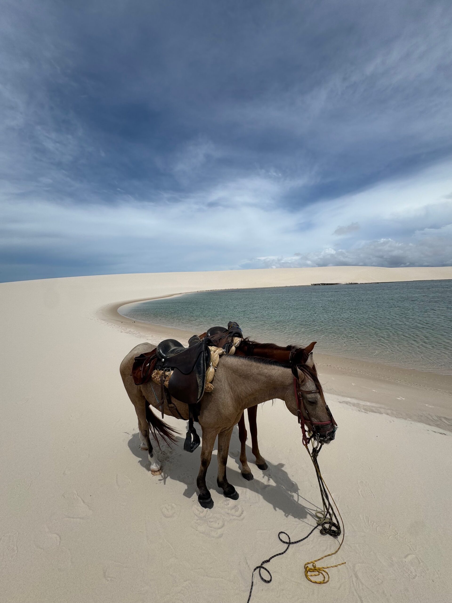 Two saddled horses rest on the sand beside a dune lagoon during a low-season crossing of Lençóis Maranhenses.