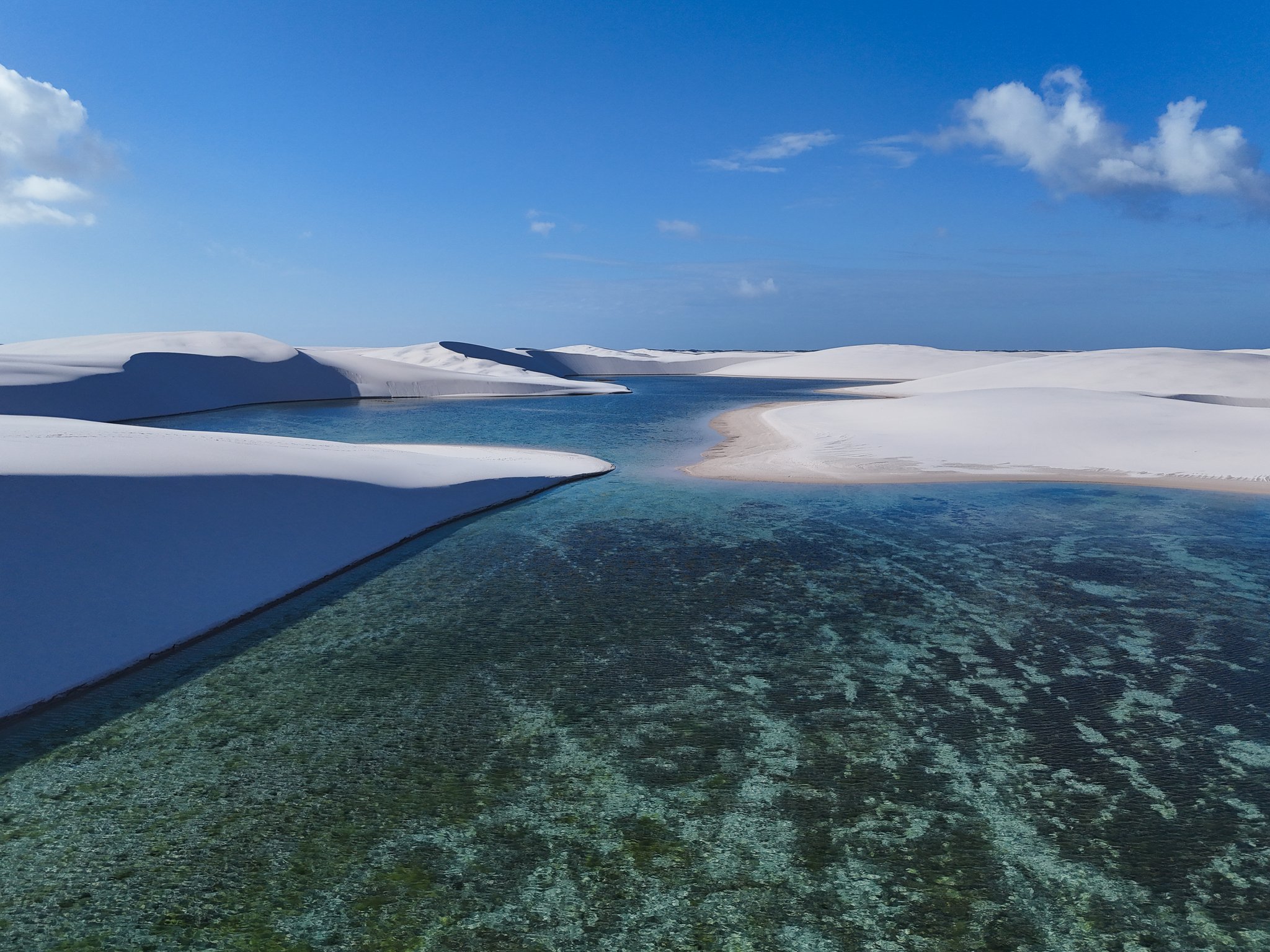 Pure water, white dunes, and not another soul in sight. Crystal-clear turquoise lagoon water reflecting algae patterns on the sandy floor, bordered by sweeping white sand dunes under a vivid blue sky in Lençóis Maranhenses national park — the defining landscape of the lencois maranhenses trek