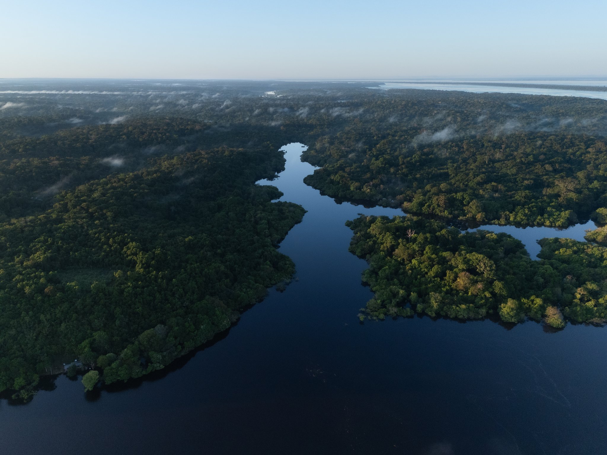 Névoa da manhã sobre a floresta sem fim, o rio negro escuro deslizando em silêncio. Vista aérea de um canal de águas escuras serpenteando ao amanhecer pela densa floresta amazônica, com névoa baixa sobre as copas das árvores e um vasto rio visível no horizonte