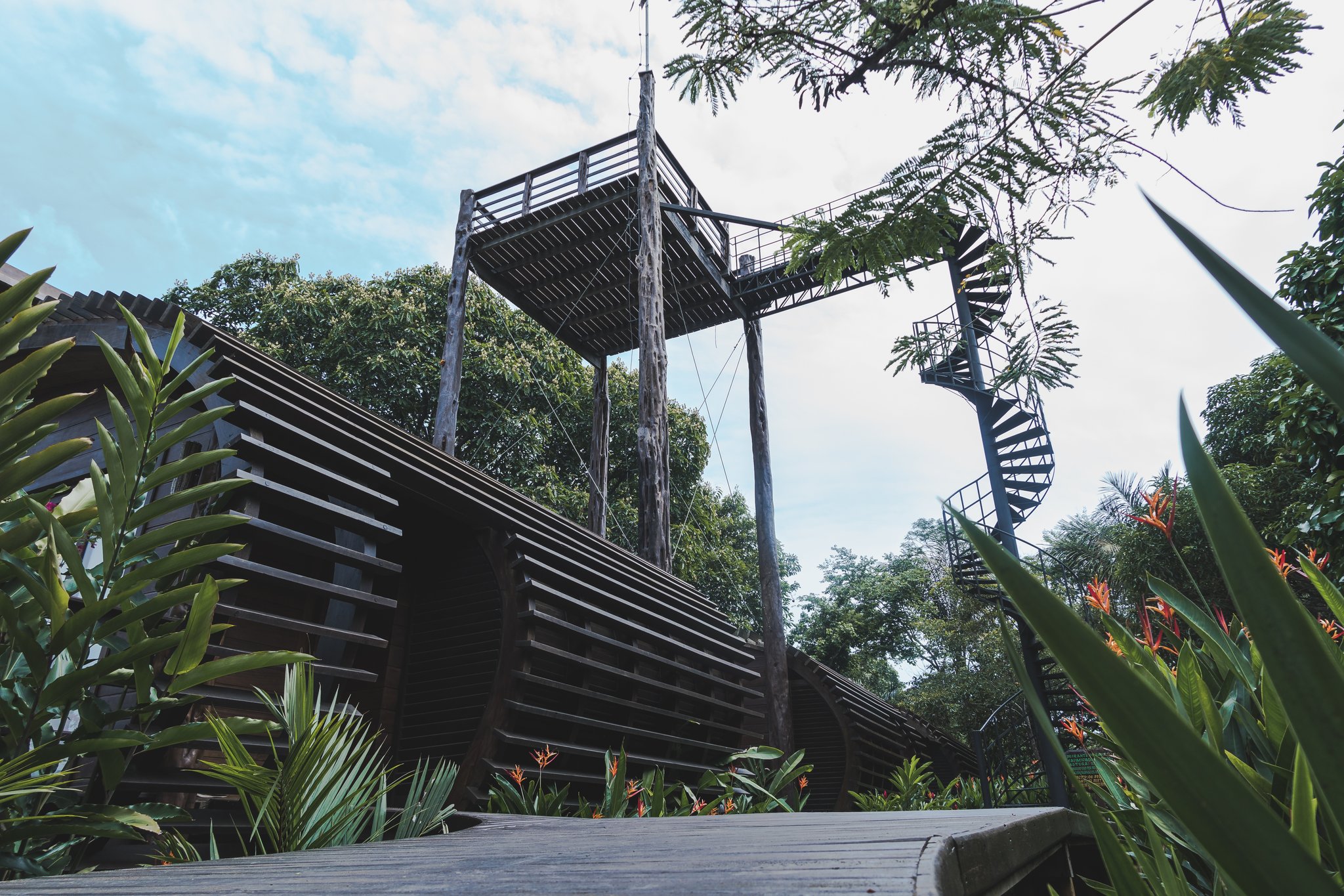 Acima da copa das árvores, a torre de observação revela o horizonte infinito da floresta. Vista em contra-plongée de uma alta torre de observação em madeira em um lodge de luxo na Amazônia brasileira, com uma escada em caracol metálica subindo entre folhagens tropicais exuberantes e helicônias em primeiro plano