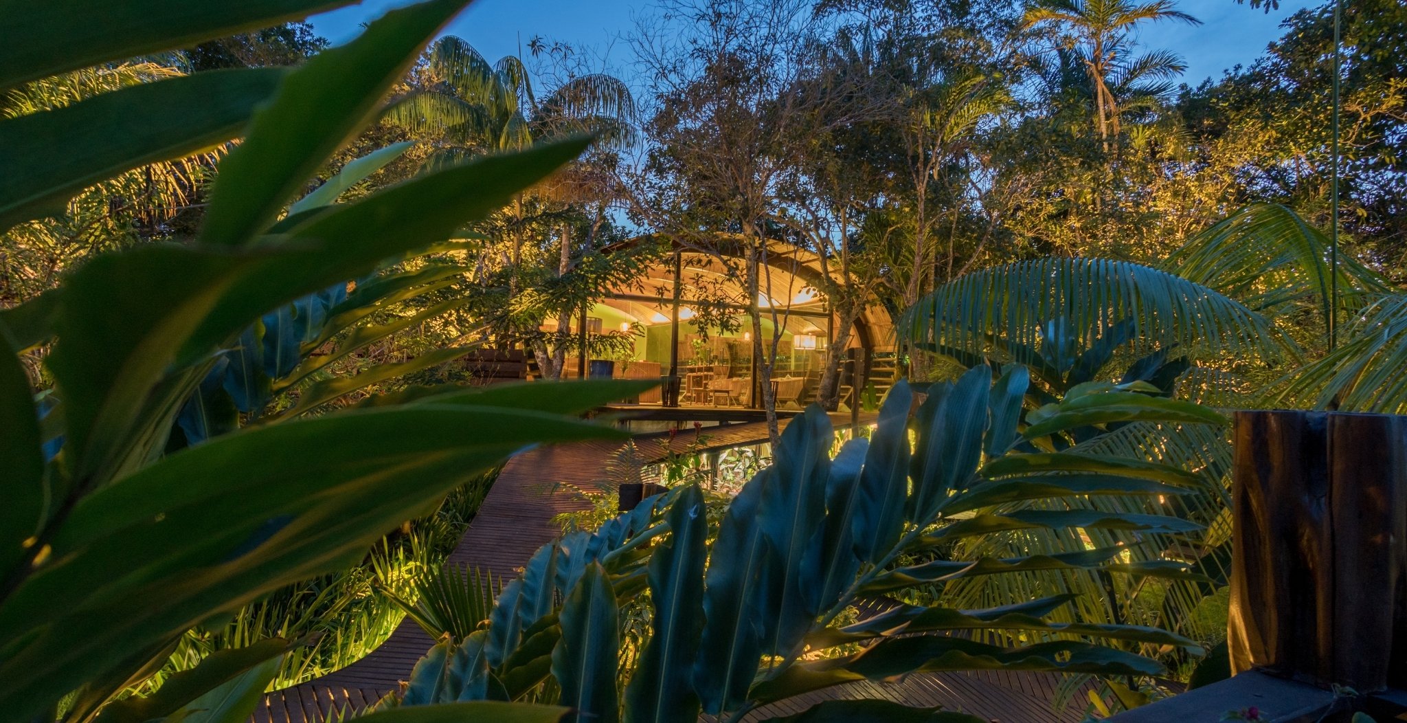 A warmly lit open-air pavilion of a luxury amazon lodge brazil emerges through lush tropical foliage and palm fronds along a hardwood boardwalk at dusk
