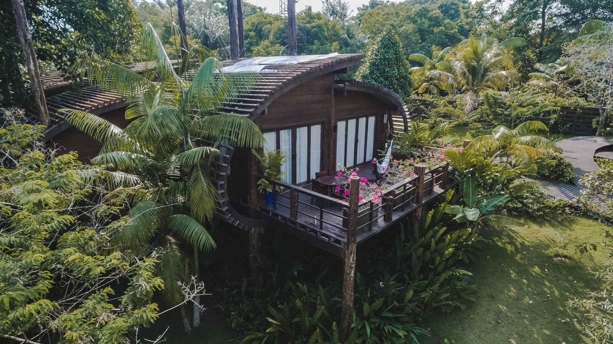 Vista aérea de uma cabana de madeira com telhado curvo em um lodge de luxo na Amazônia brasileira, com deck elevado enfeitado por buganvílias rosas e uma rede, cercada pela densa copa da floresta tropical