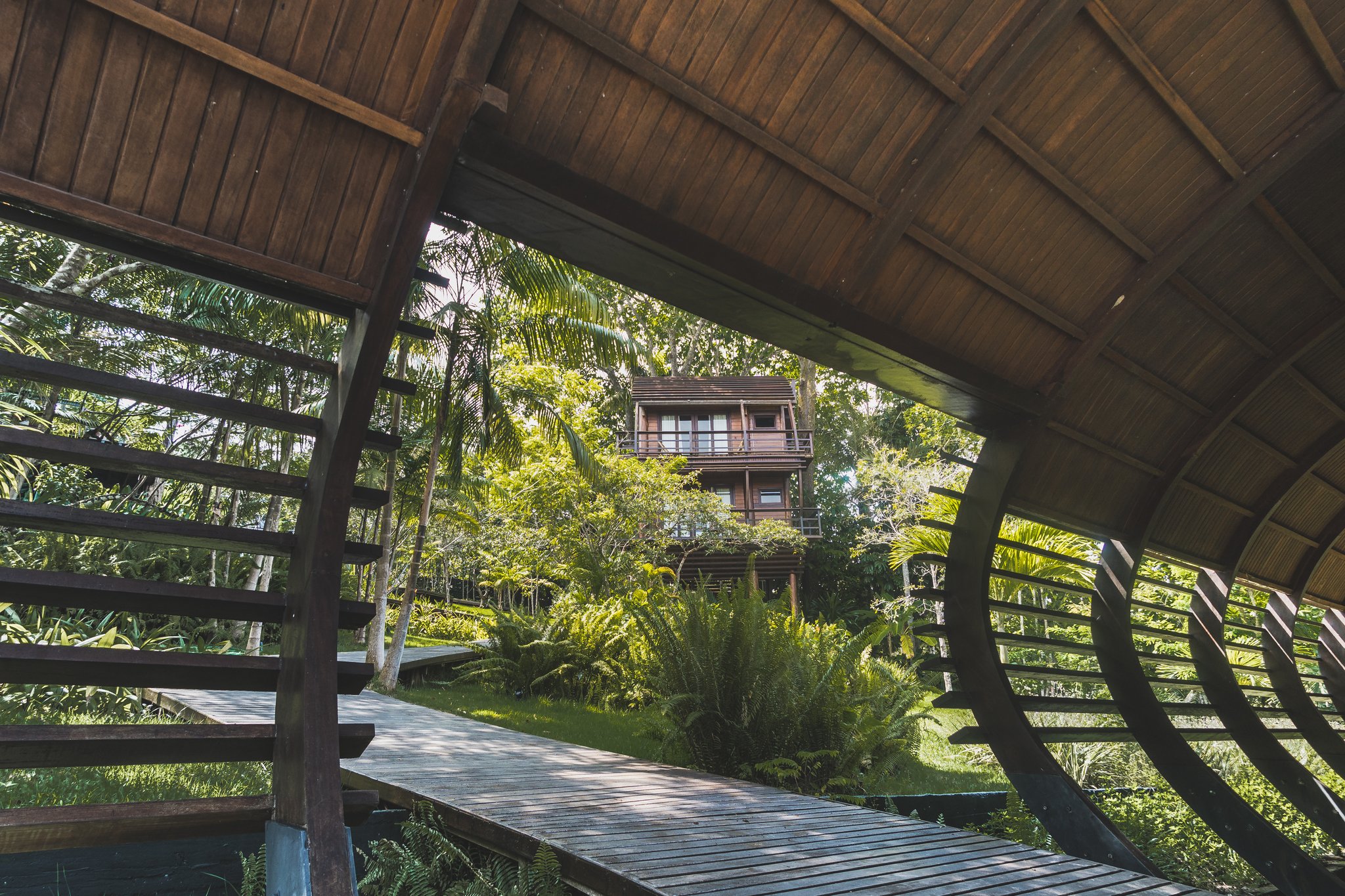 Uma passarela de madeira atravessa vegetação tropical exuberante em direção a uma casa na árvore de vários andares em um lodge de luxo na Amazônia brasileira, emoldurada pelas paredes de ripas curvas e pelo telhado de palha de um pavilhão próximo