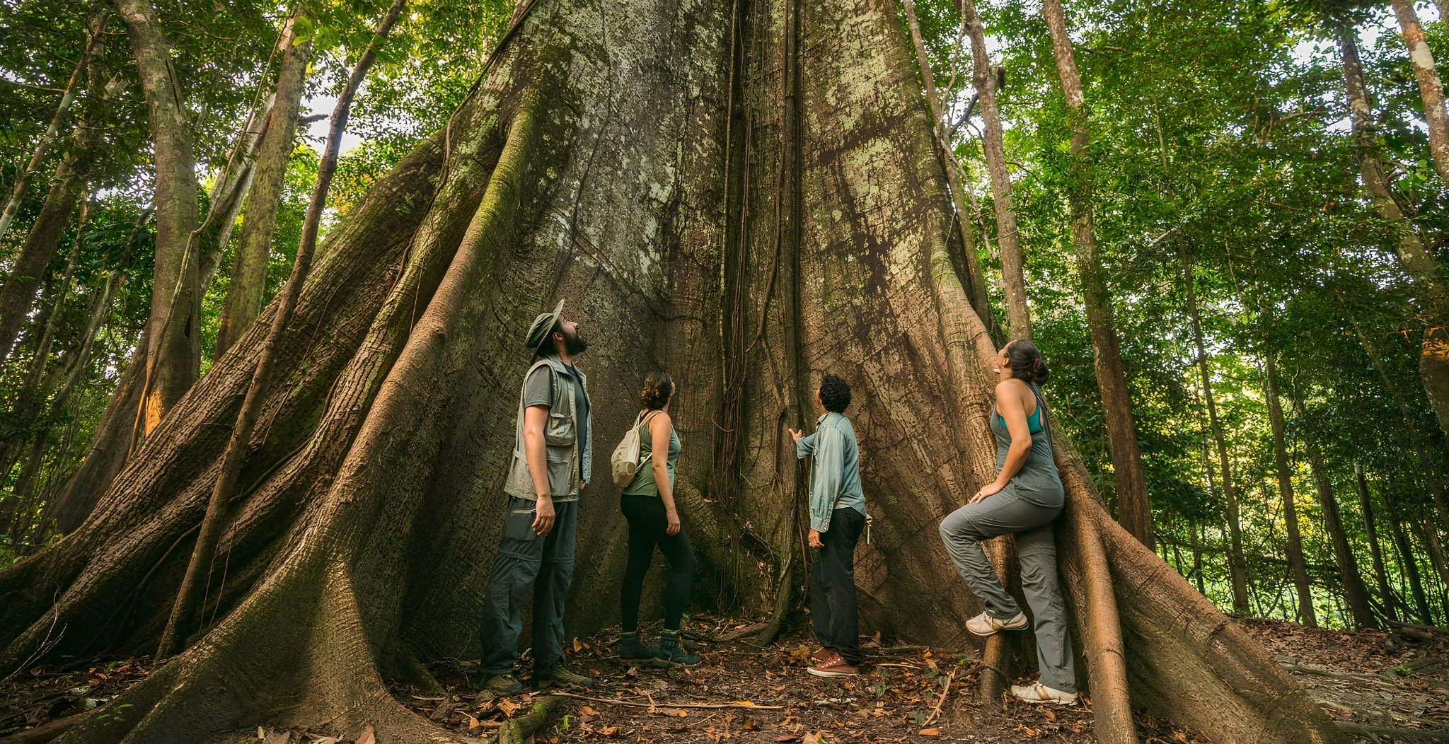 Four ecotourists standing at the base of a massive buttressed rainforest tree during a manaus jungle tour, gazing up at its towering trunk in a dense green canopy