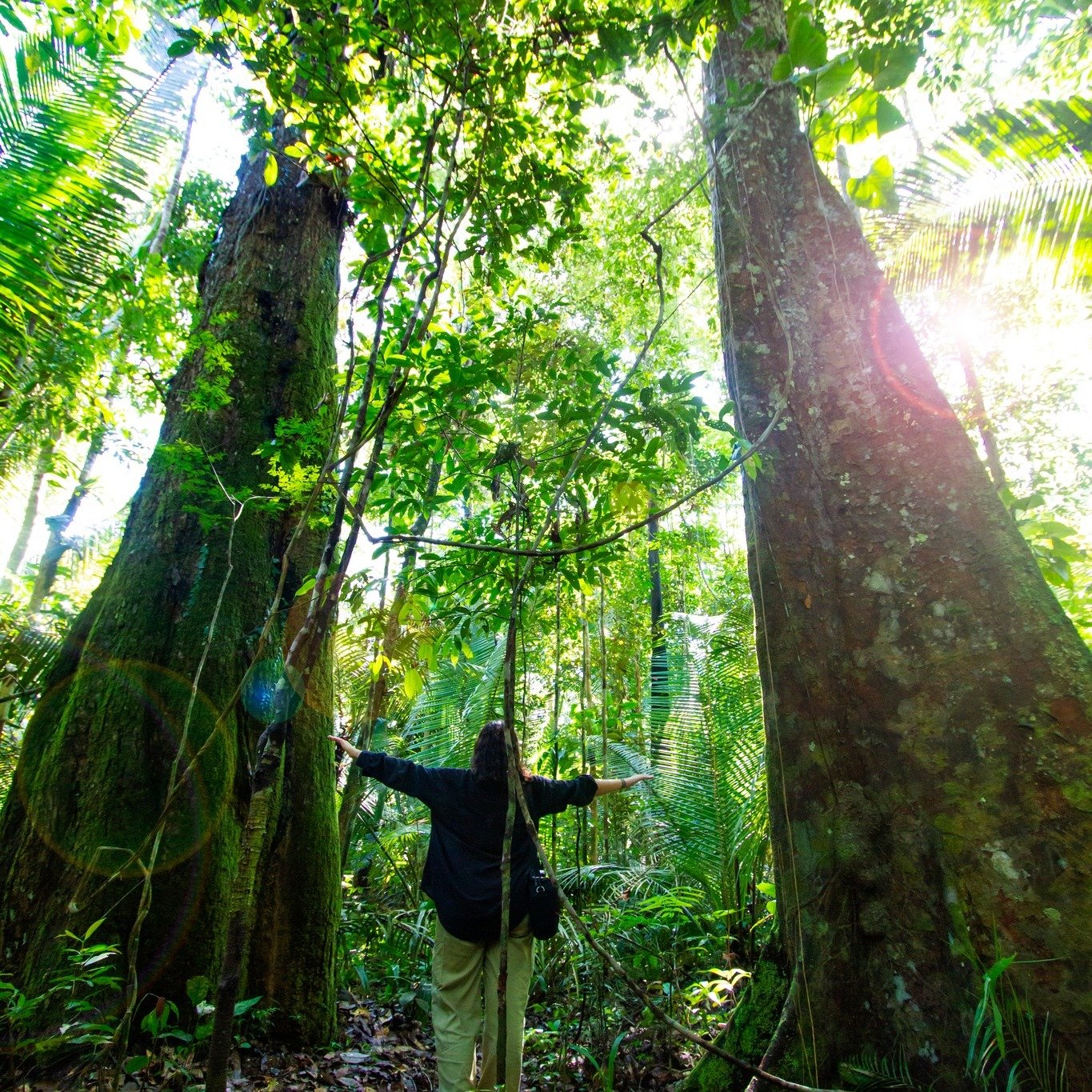 Tiny against the giants — the Amazon puts scale into perspective. Photo 1